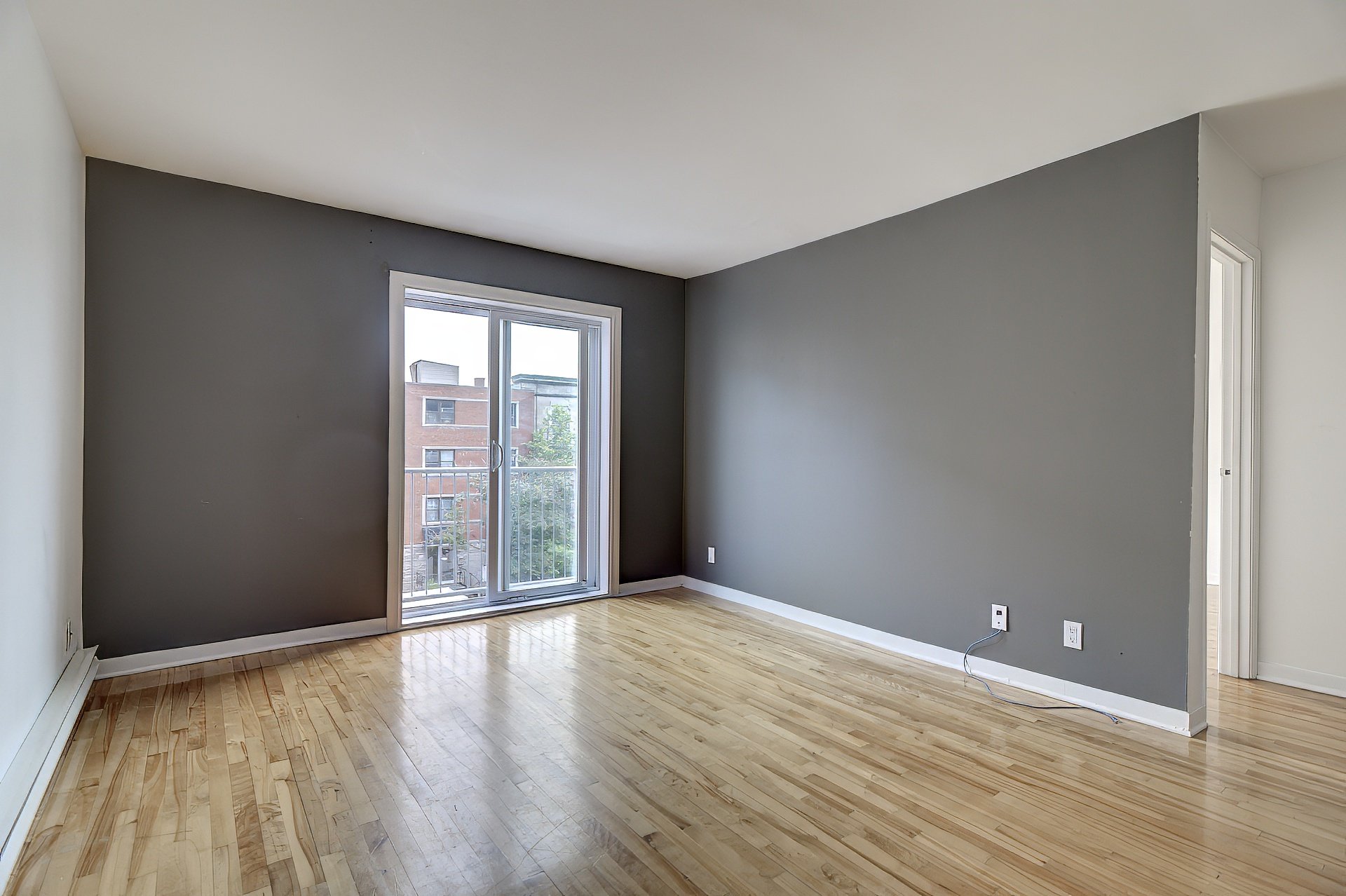 1082 Rue Berri — photo 3