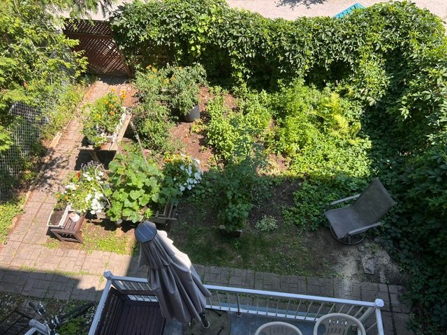 8411 Rue St-Hubert — photo 2