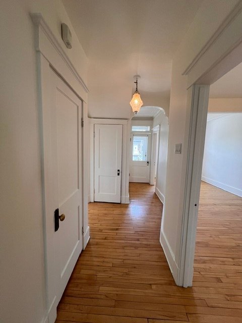 8411 Rue St-Hubert — photo 1