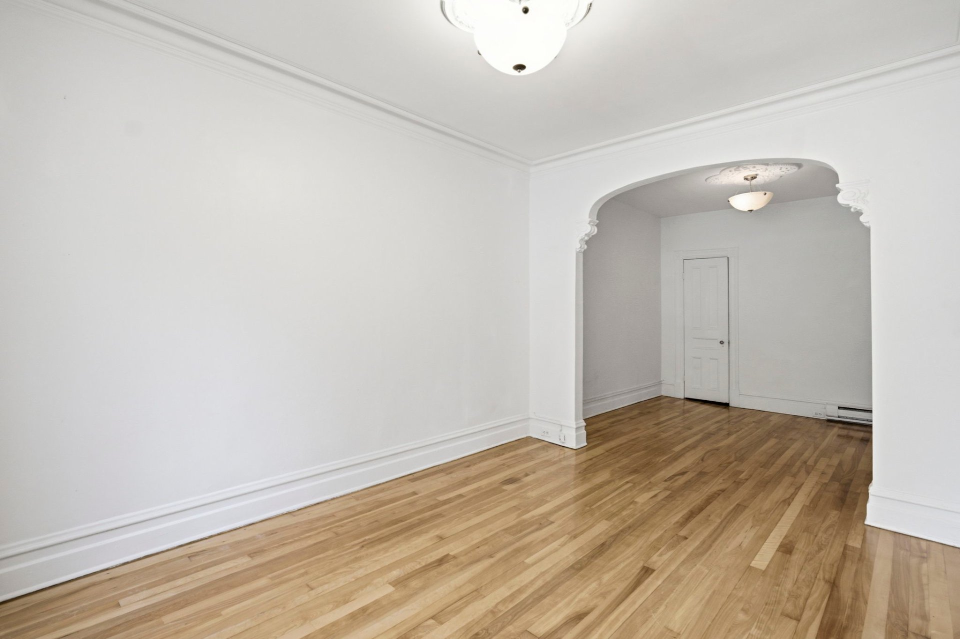 6370 Rue St-Denis — photo 3