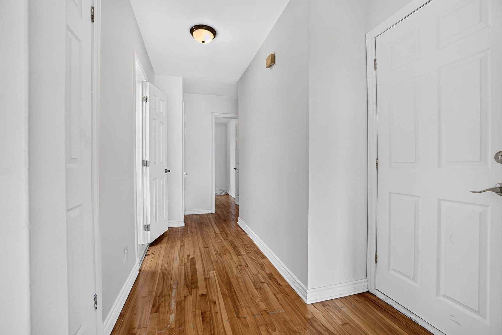 11809 Rue Alexandre-Lacoste — photo 2