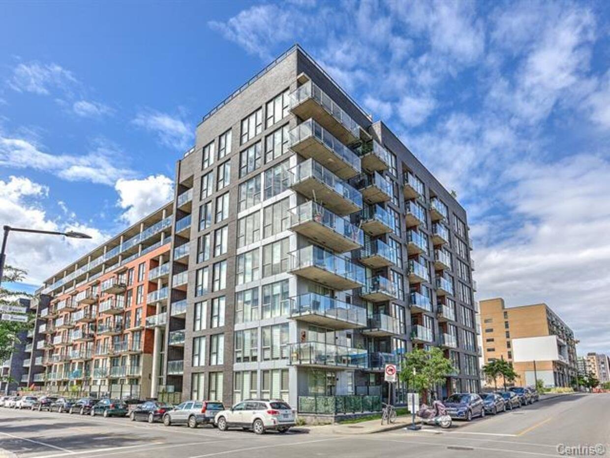 315 Rue Richmond — photo 2