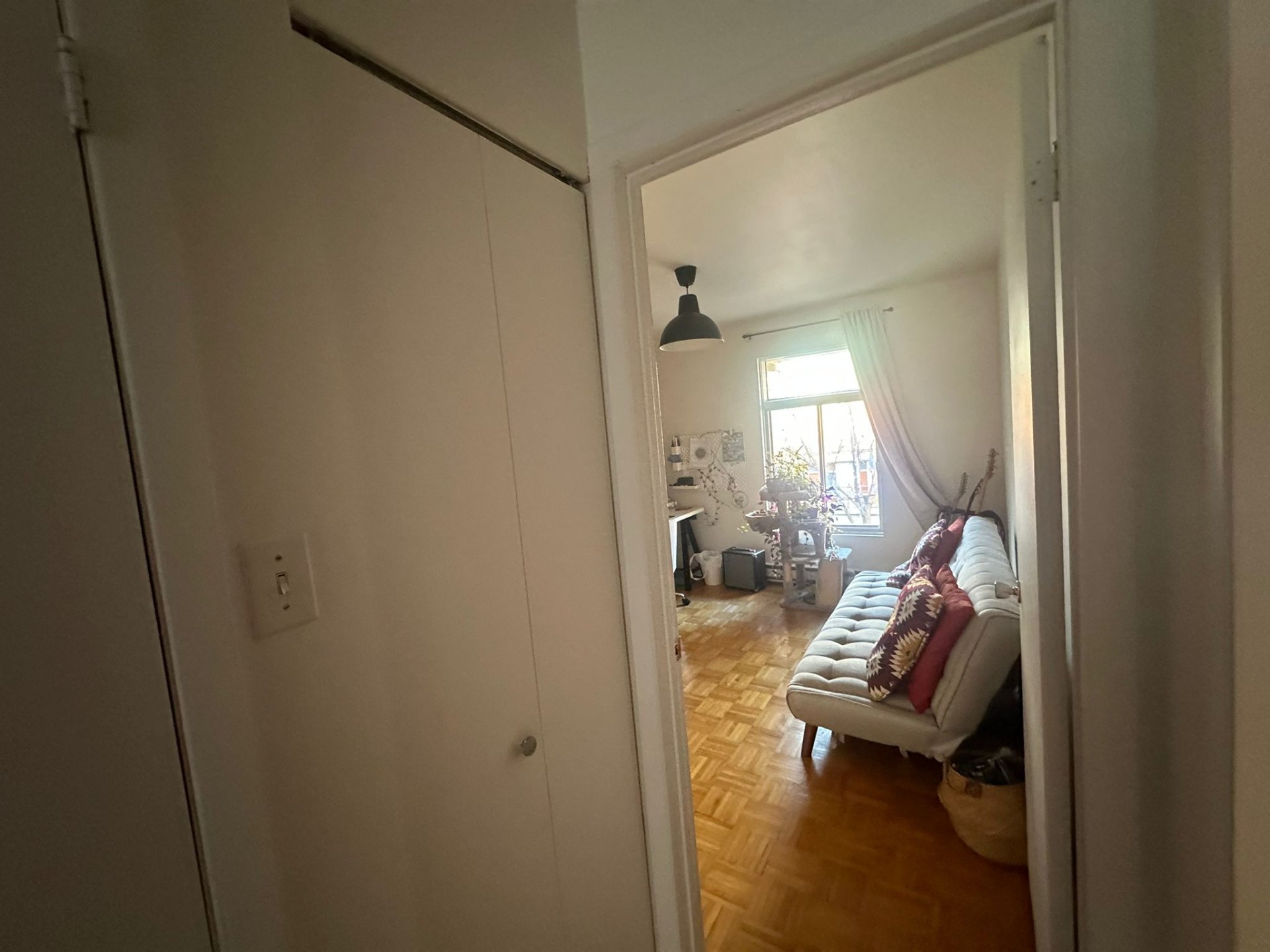 1483 Rue Ste-Catherine E. — photo 2