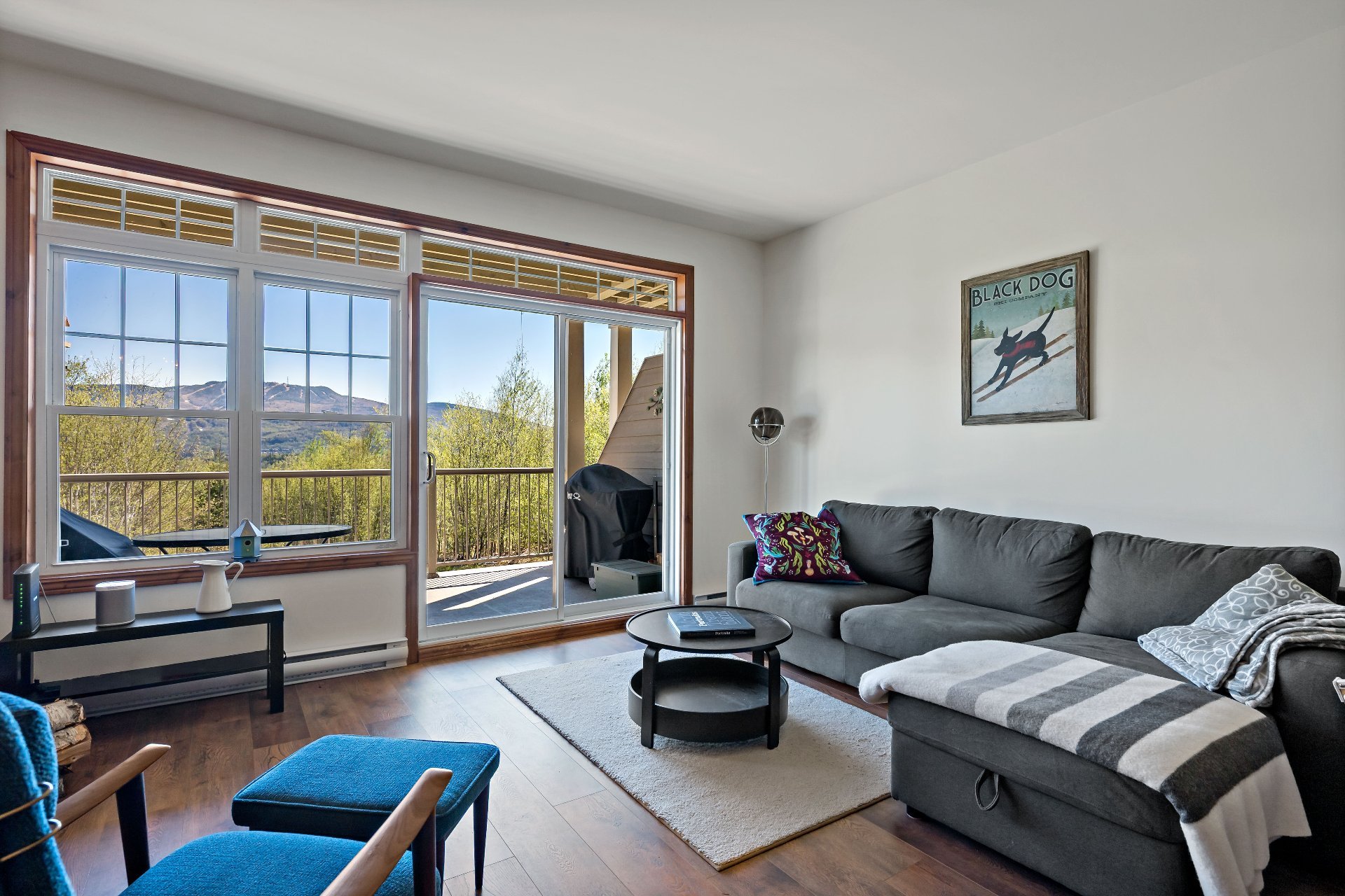 225 Rue du Mont-Plaisant — photo 3