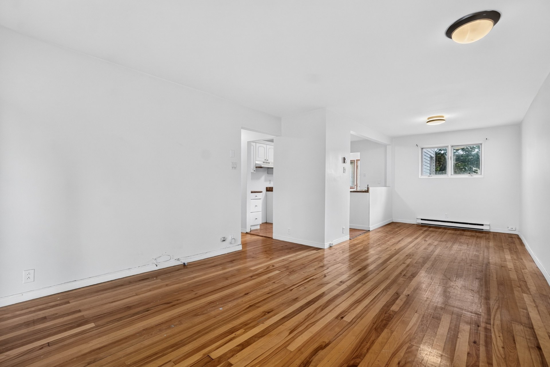 8948 Rue St-Hubert — photo 3