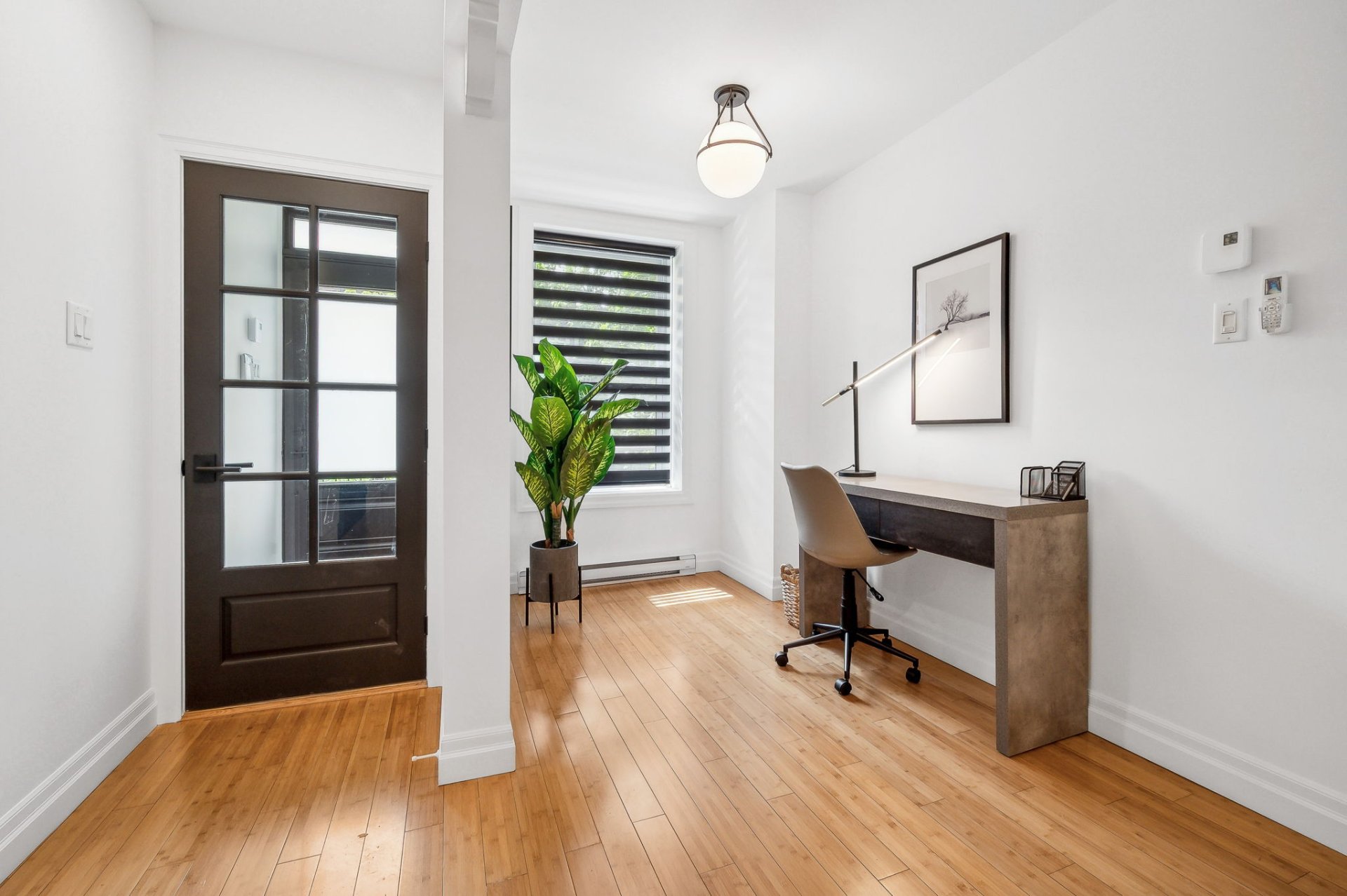 5043 Rue De La Roche — photo 2