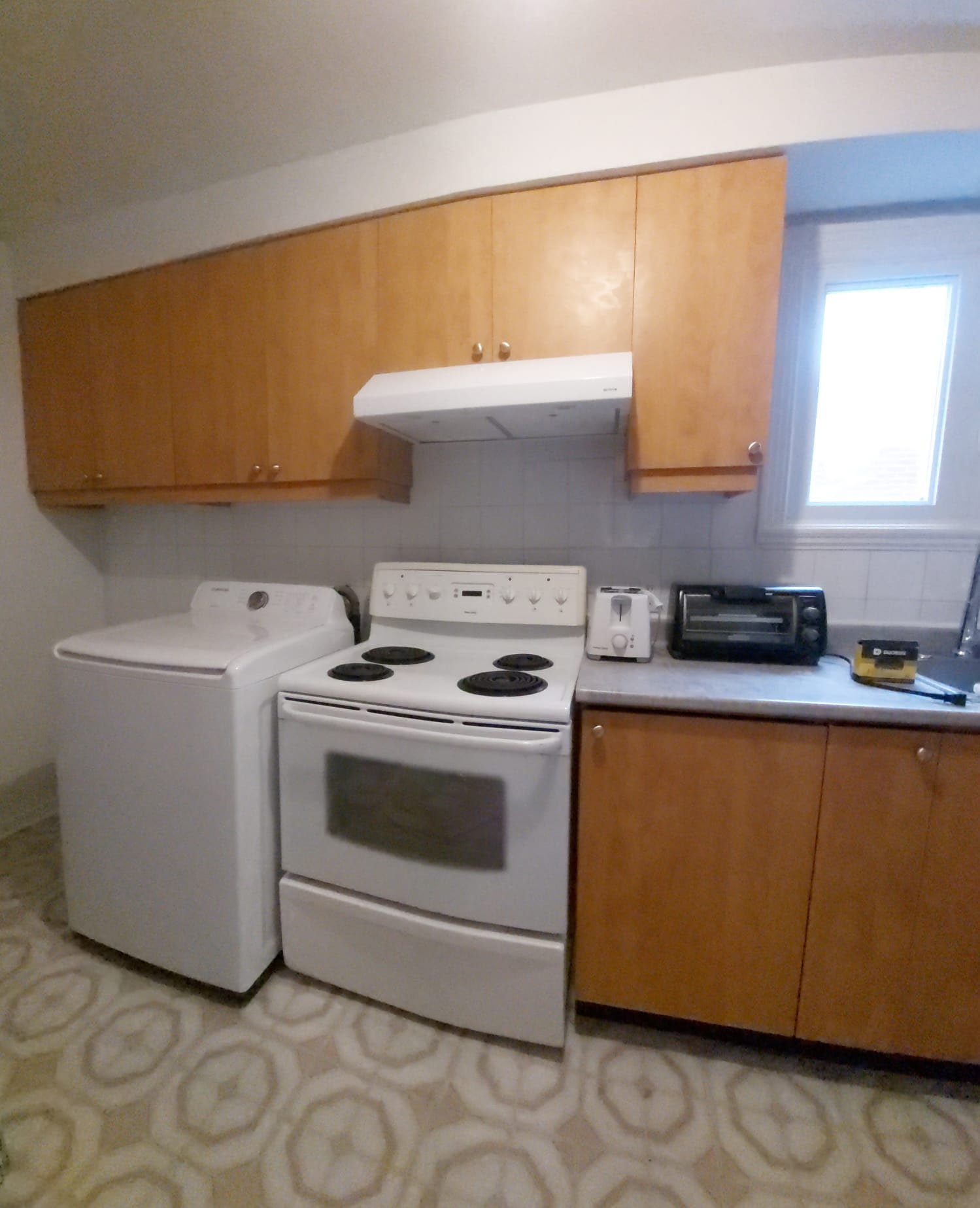 3-3881 Rue Rachel E. — photo 3