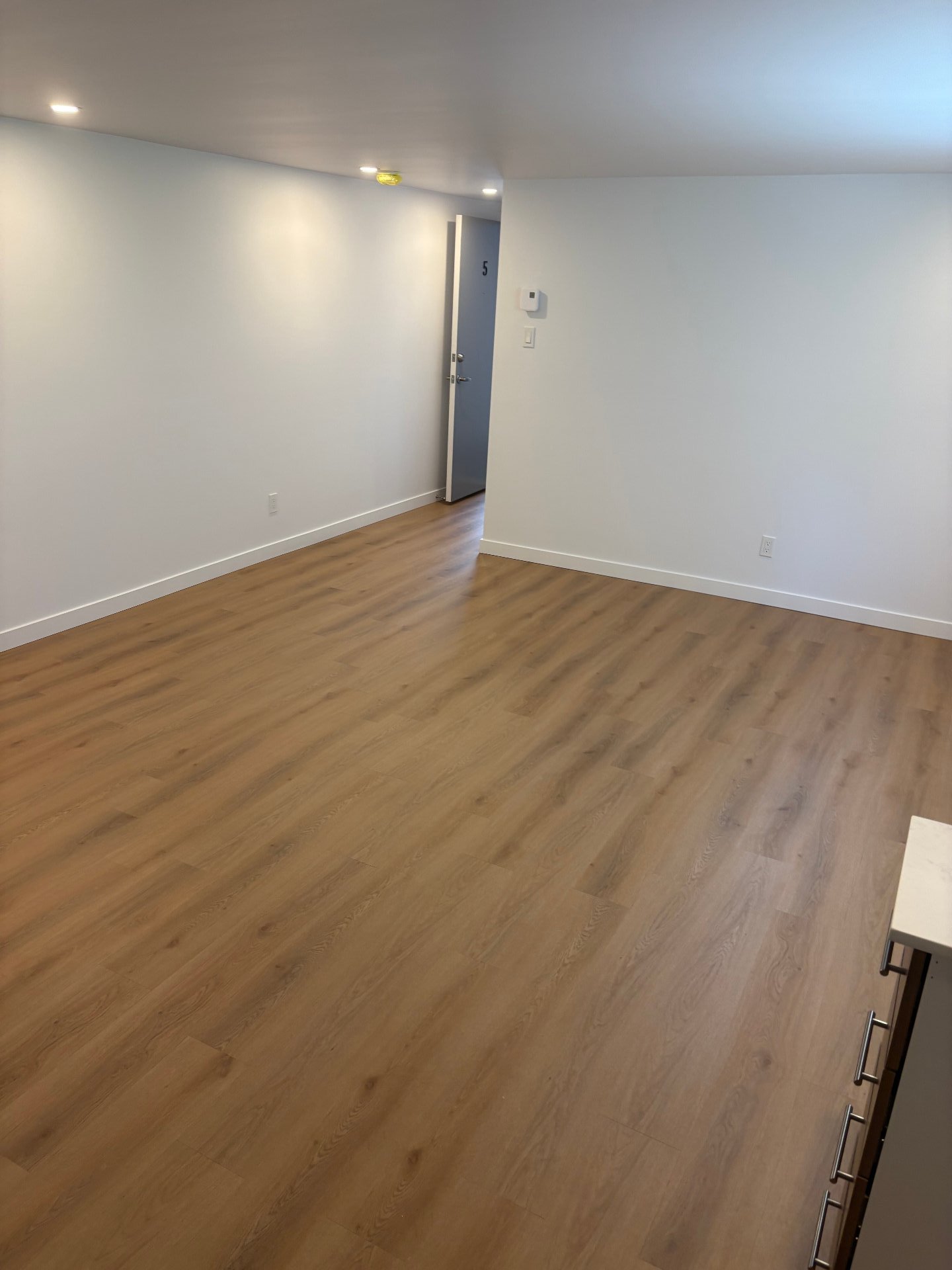 4091 Rue Forest — photo 3