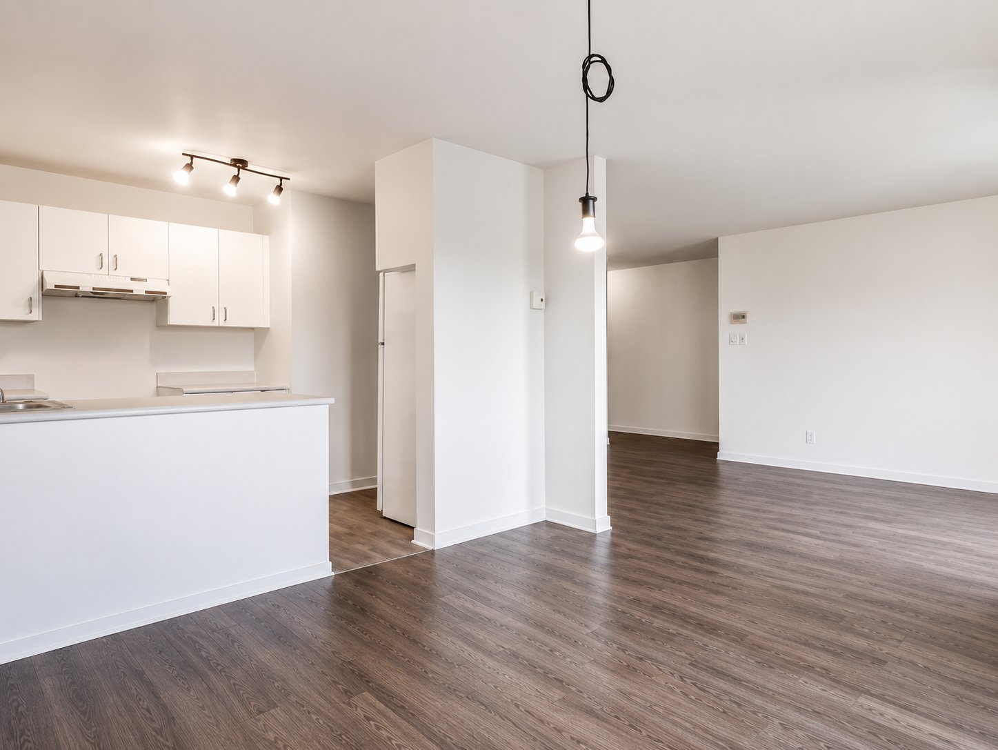 73 Rue Lalande — photo 2