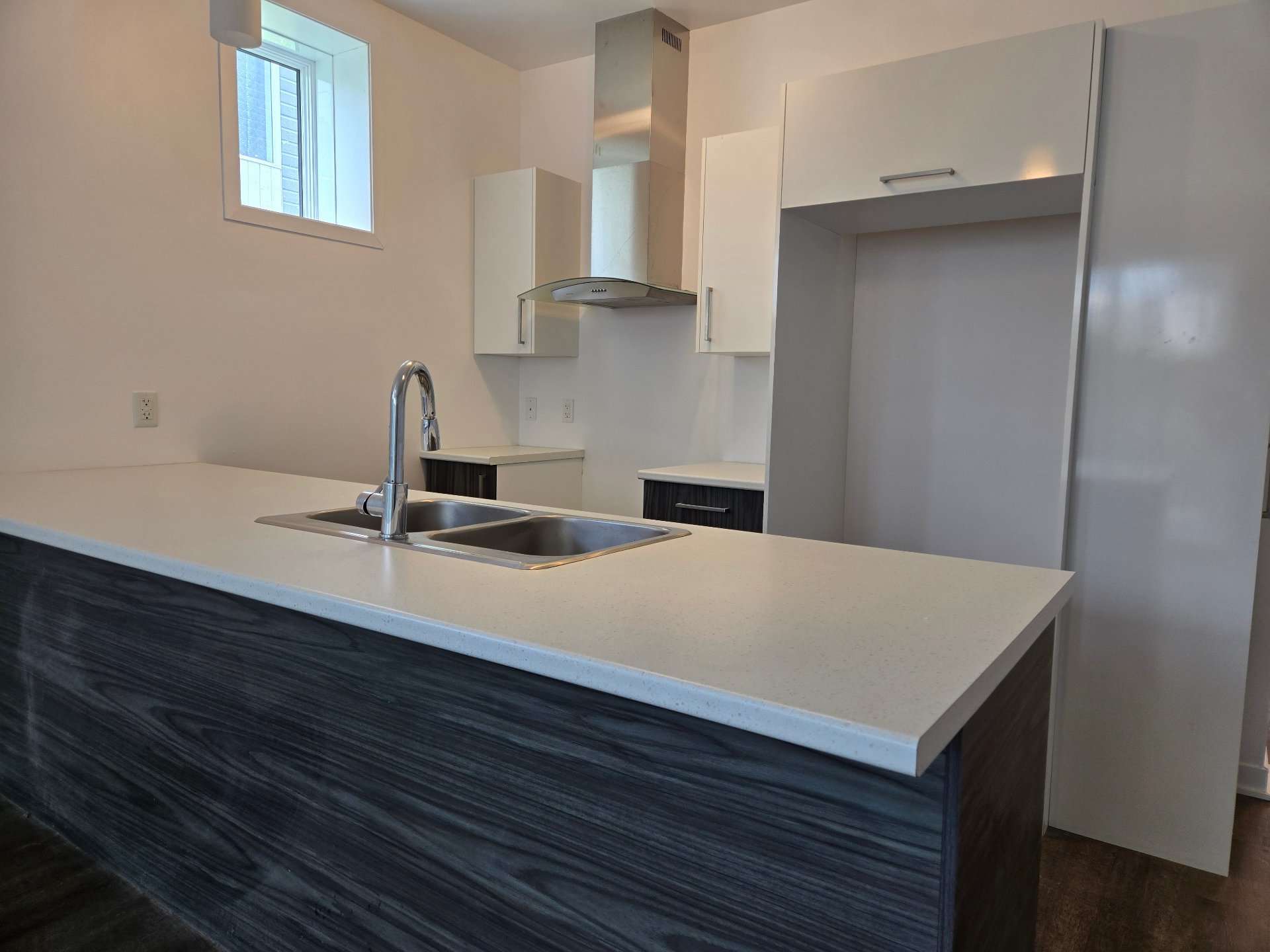 1078 Rue St-Viateur — photo 2
