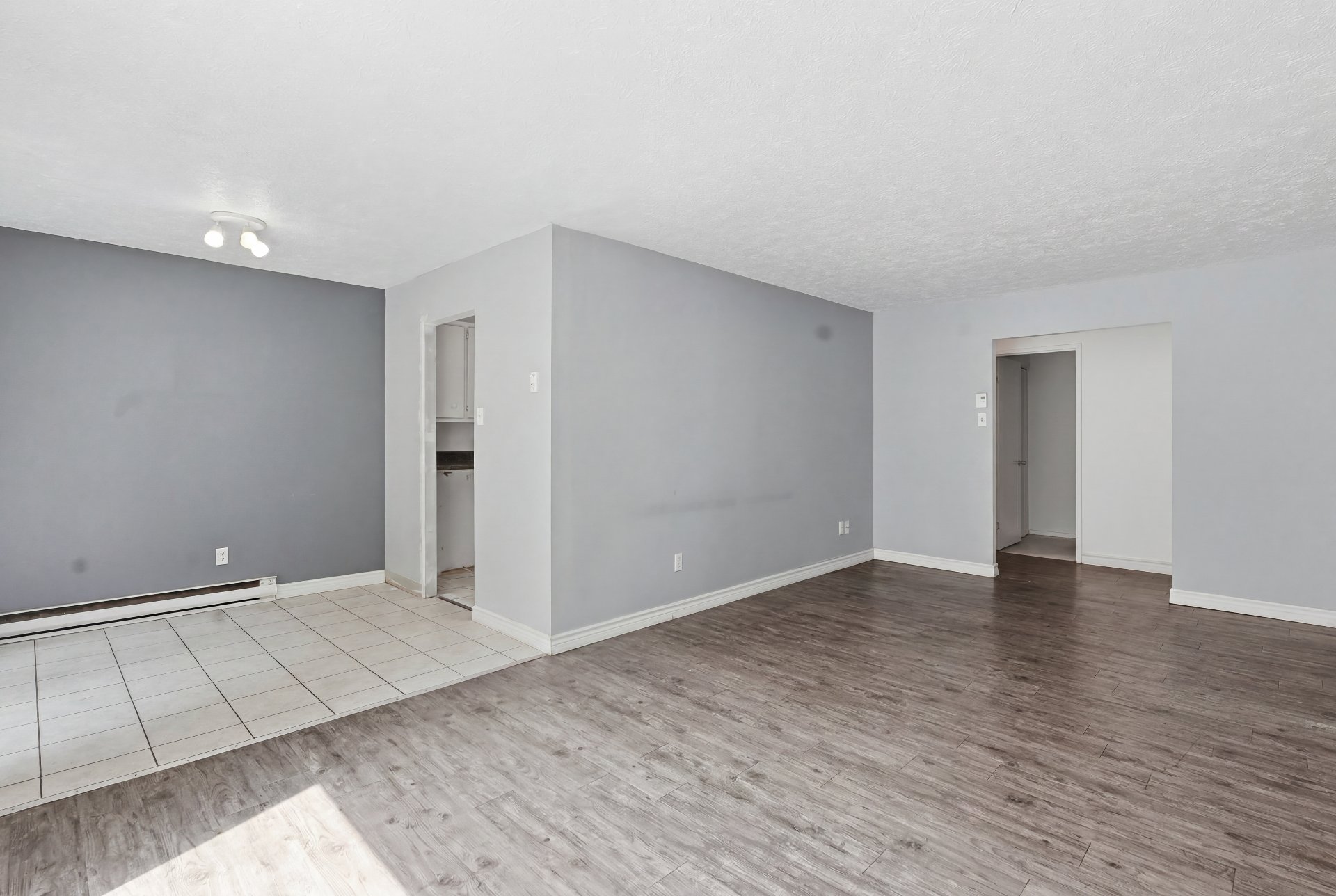 4798 Rue de Gaspé — photo 2
