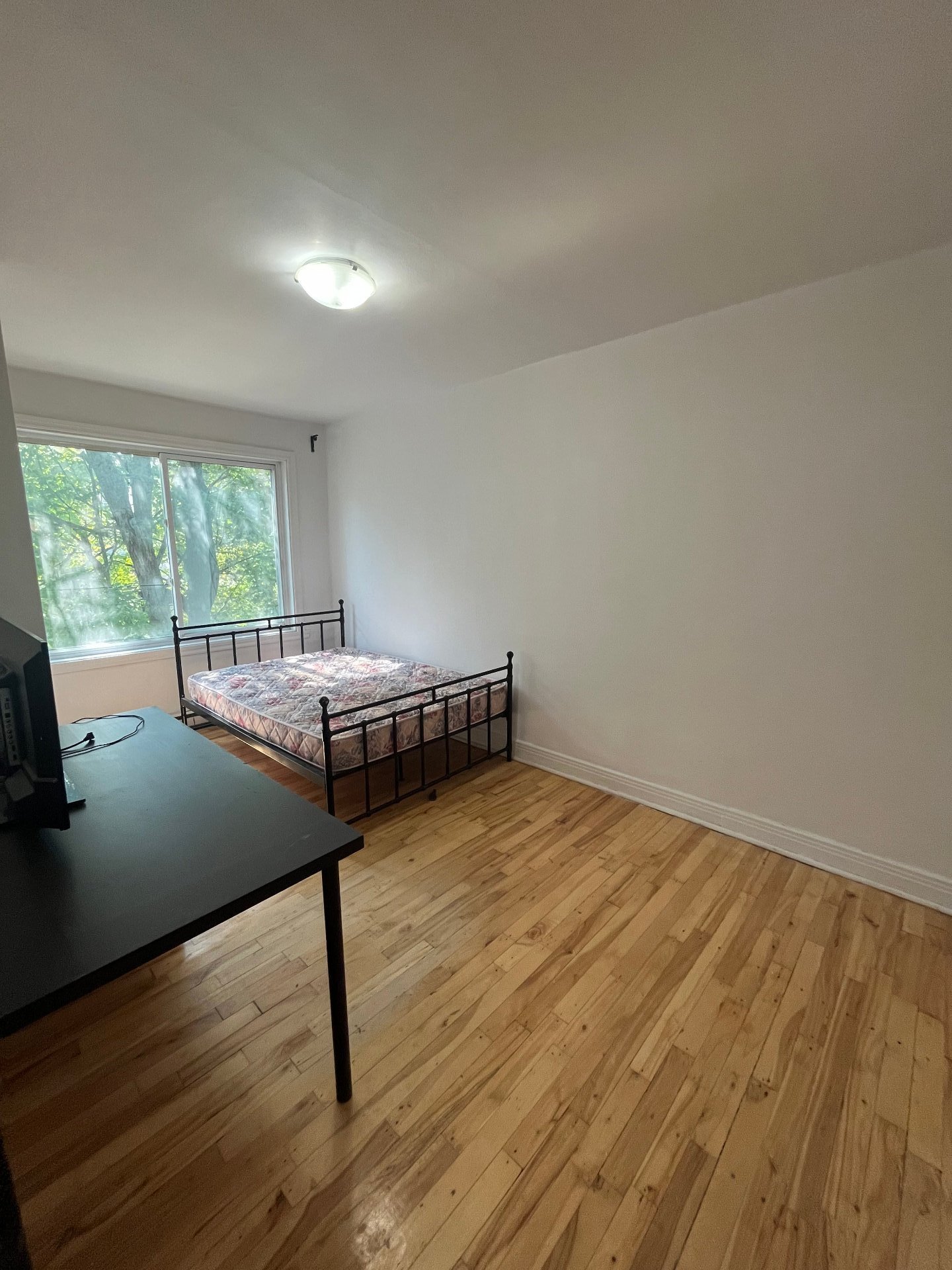 5017 Av. Walkley — photo 2