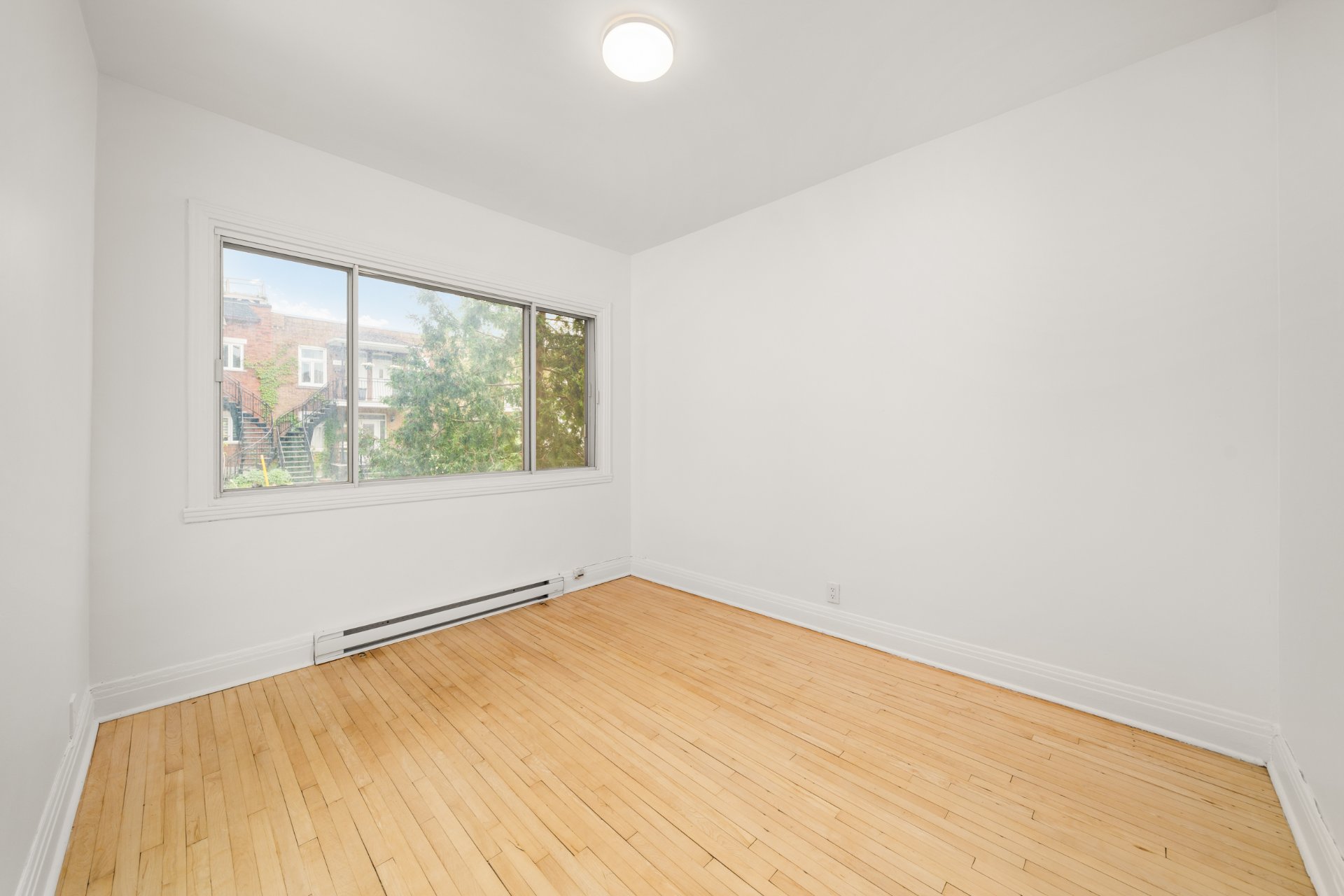5491 Av. Jeanne-d'Arc — photo 3