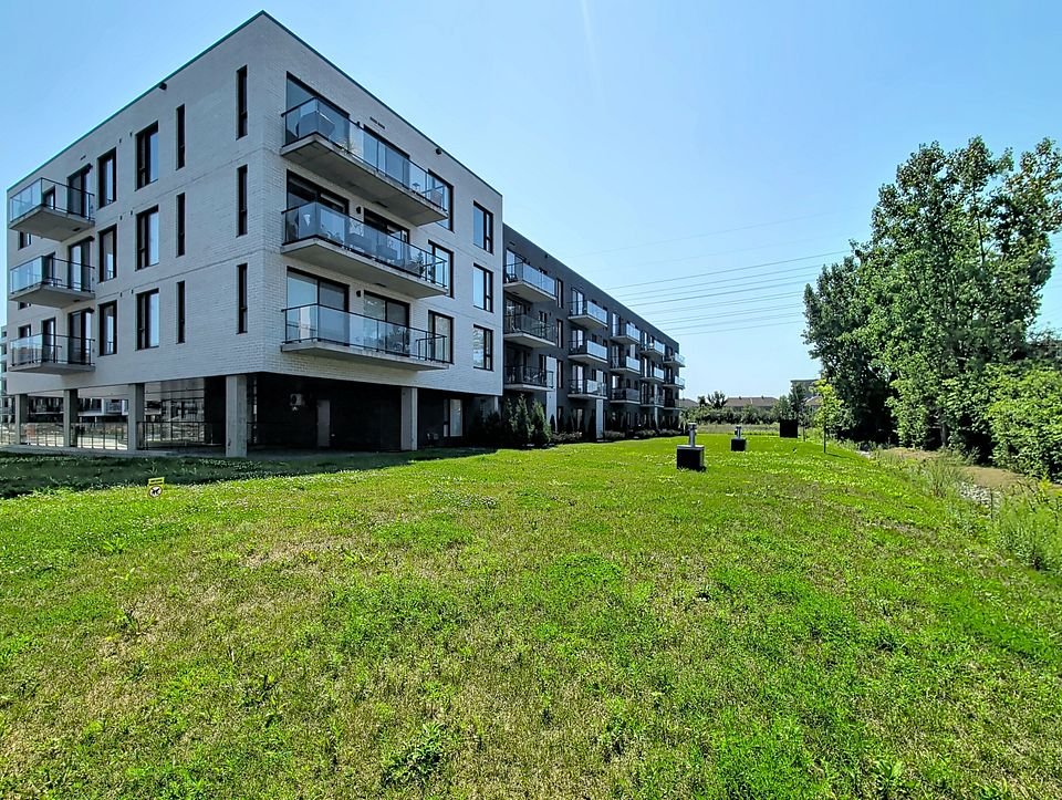10130 Rue Lauraine-Vaillancourt — photo 2
