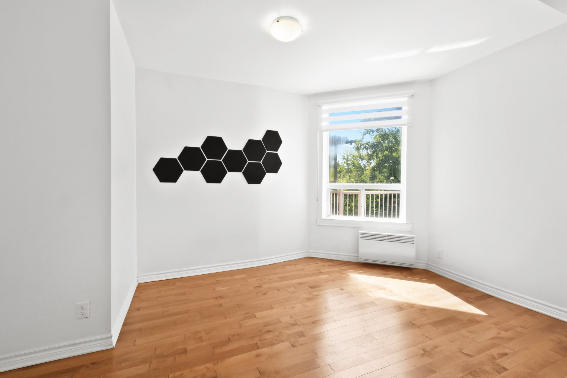 7062 Rue St-Denis — photo 3