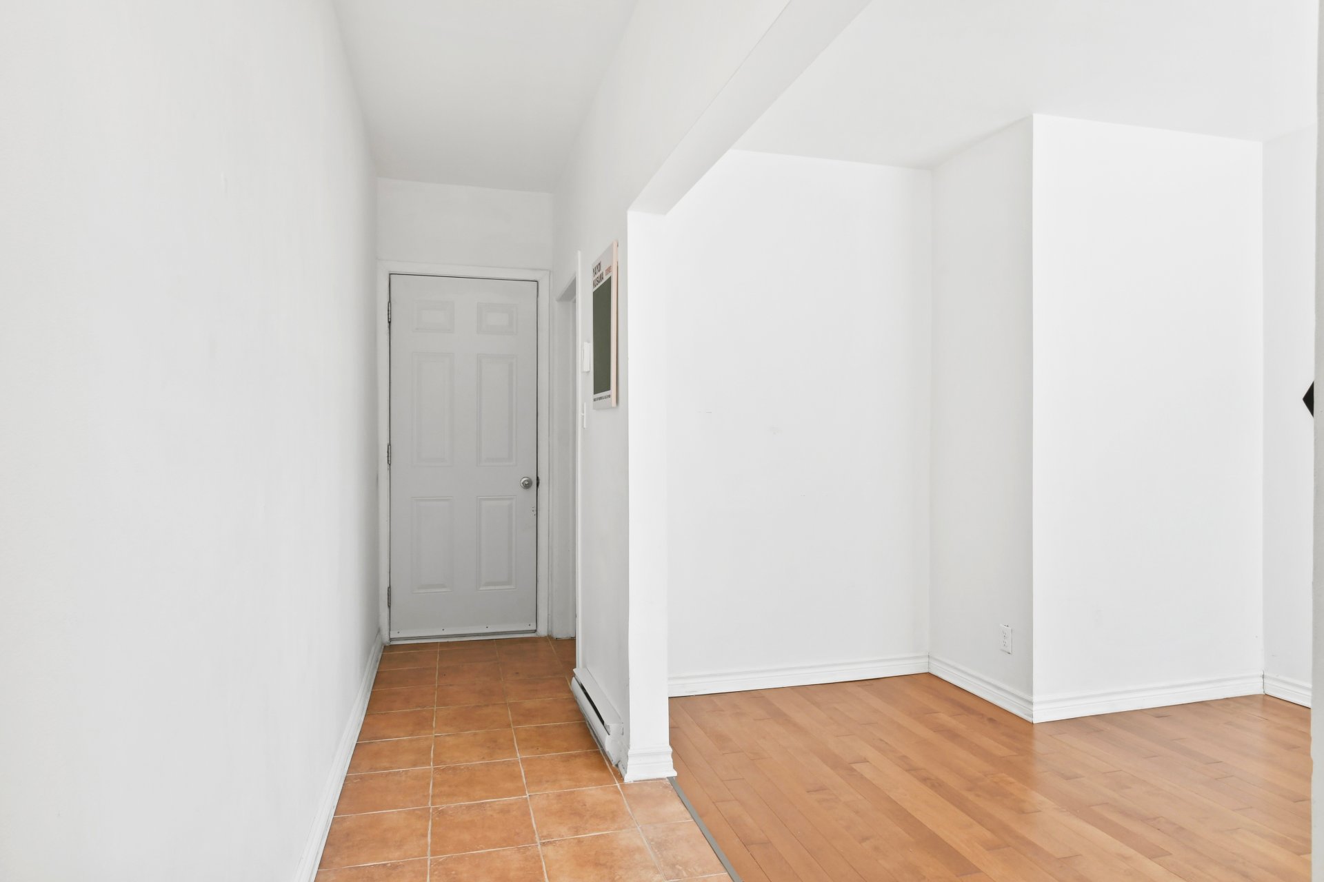 7062 Rue St-Denis — photo 2