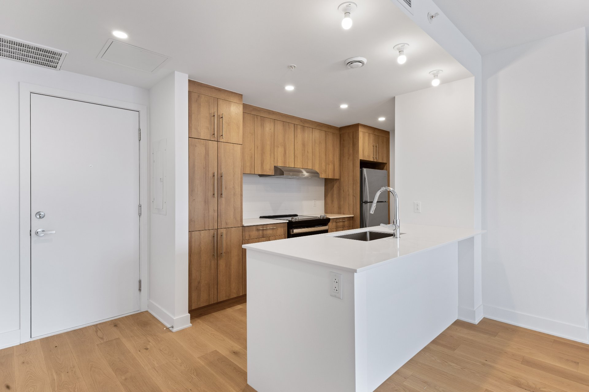 10130 Rue Lauraine-Vaillancourt — photo 3