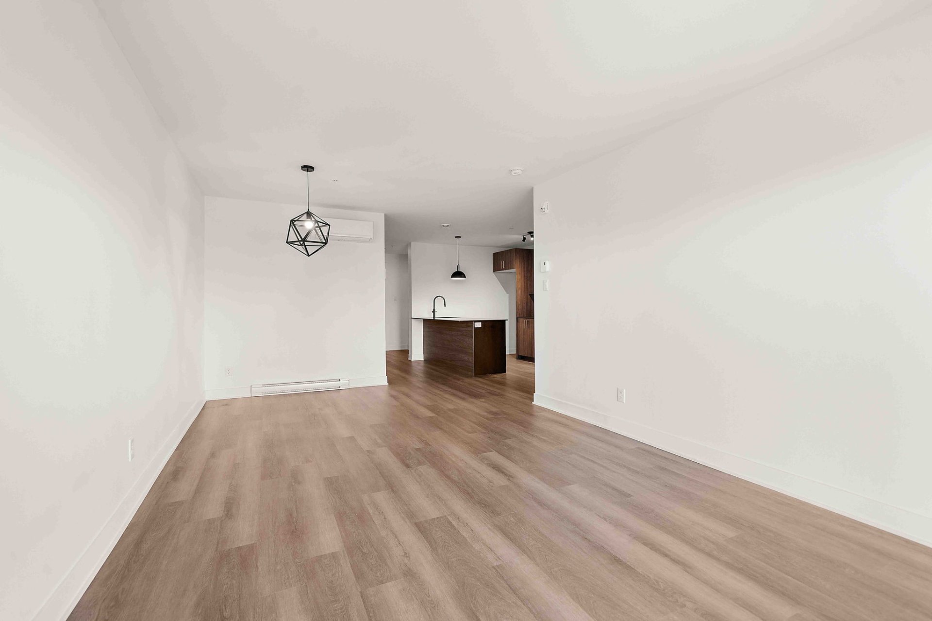 645 Rue René-Lecavalier — photo 3