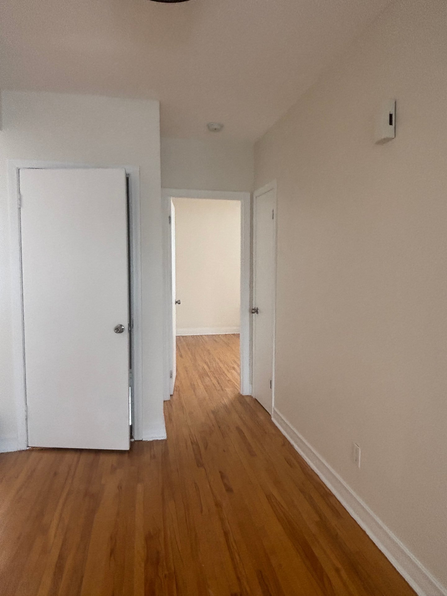 482 Rue Tassé — photo 3