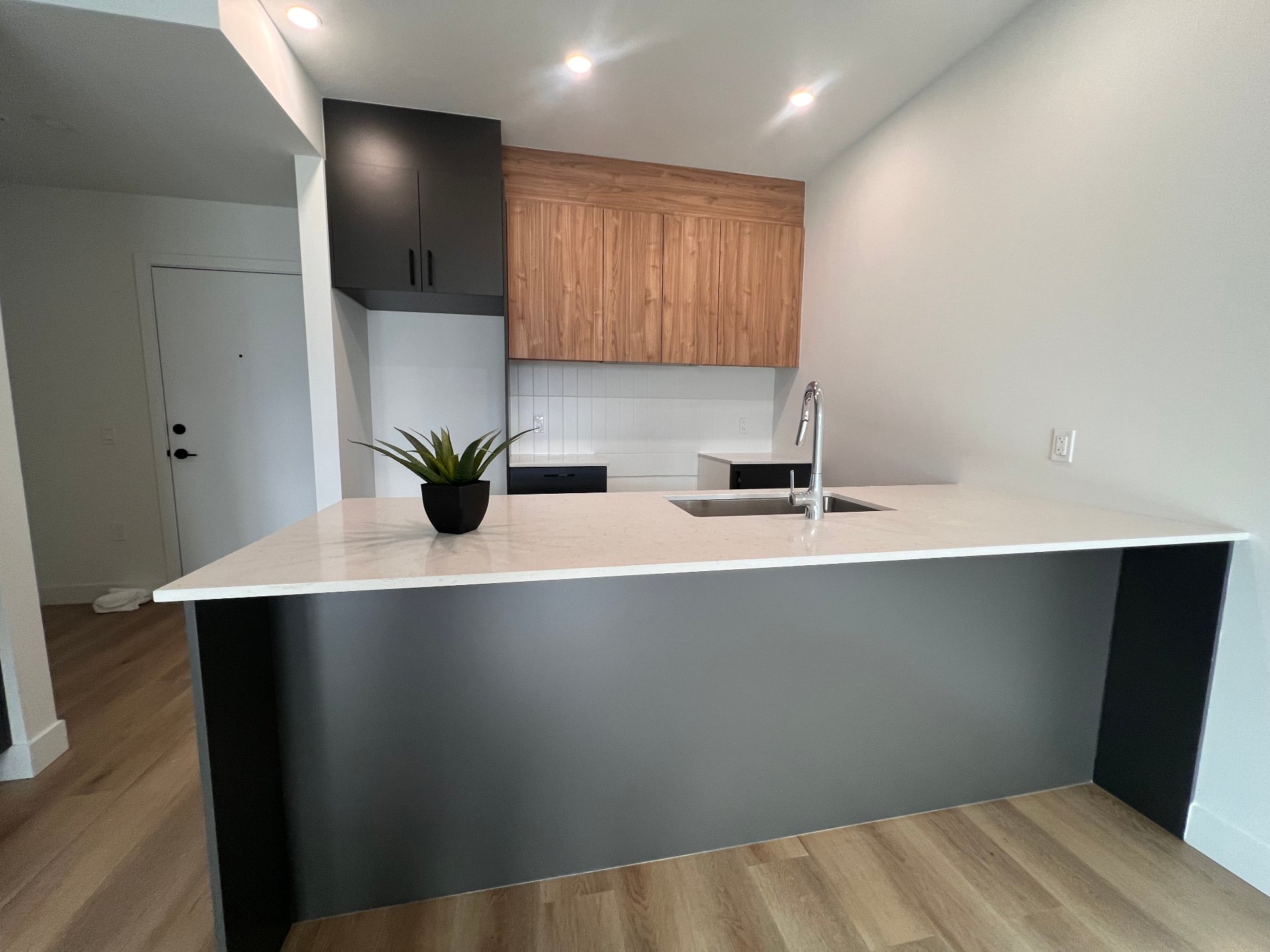 282 Rue du Cardinal — photo 1