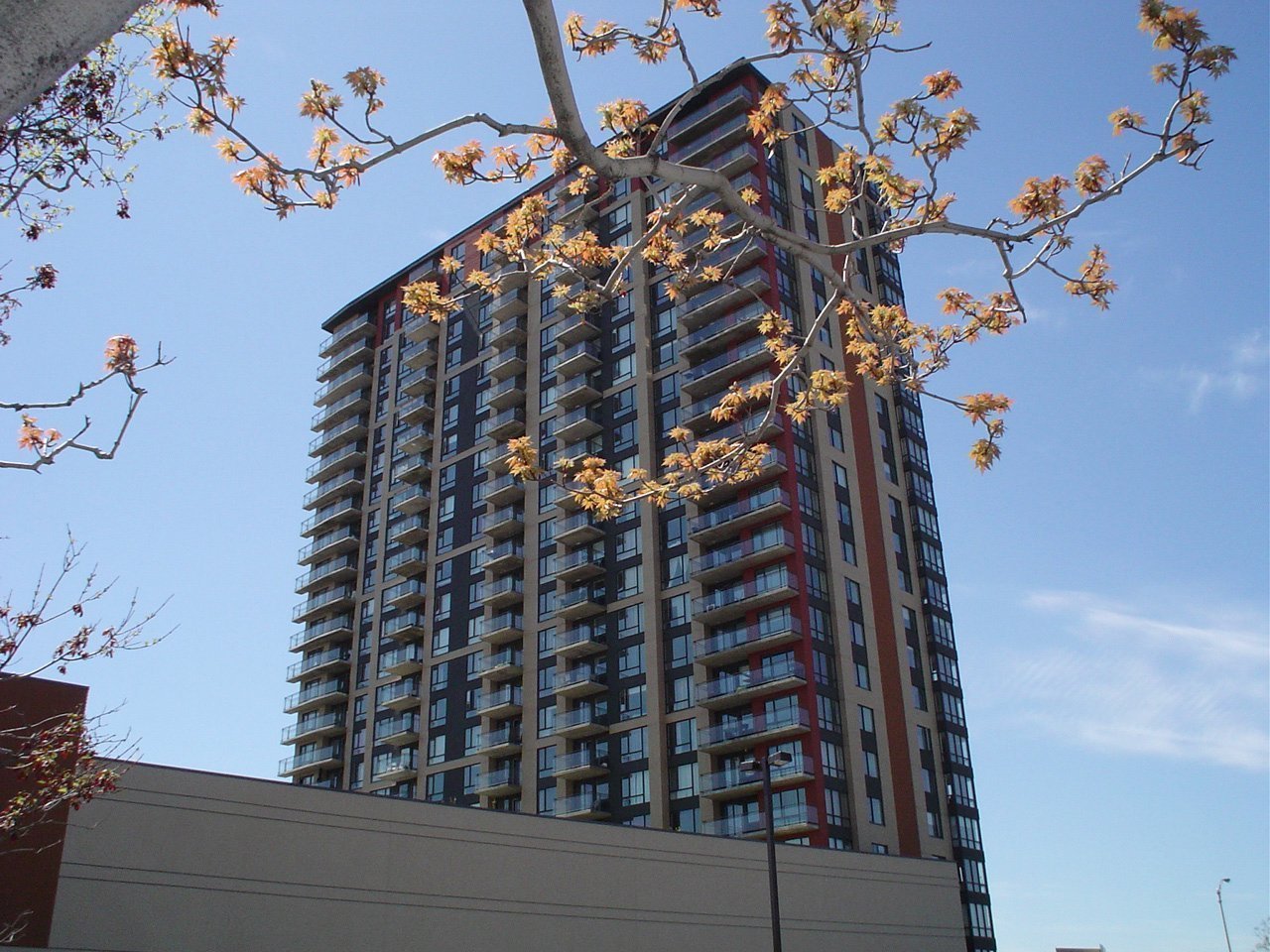 15 Boul. La Fayette — photo 1