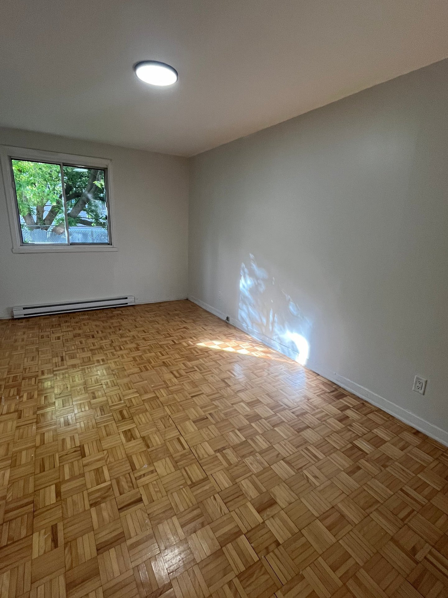 216 Rue Lawrence — photo 3
