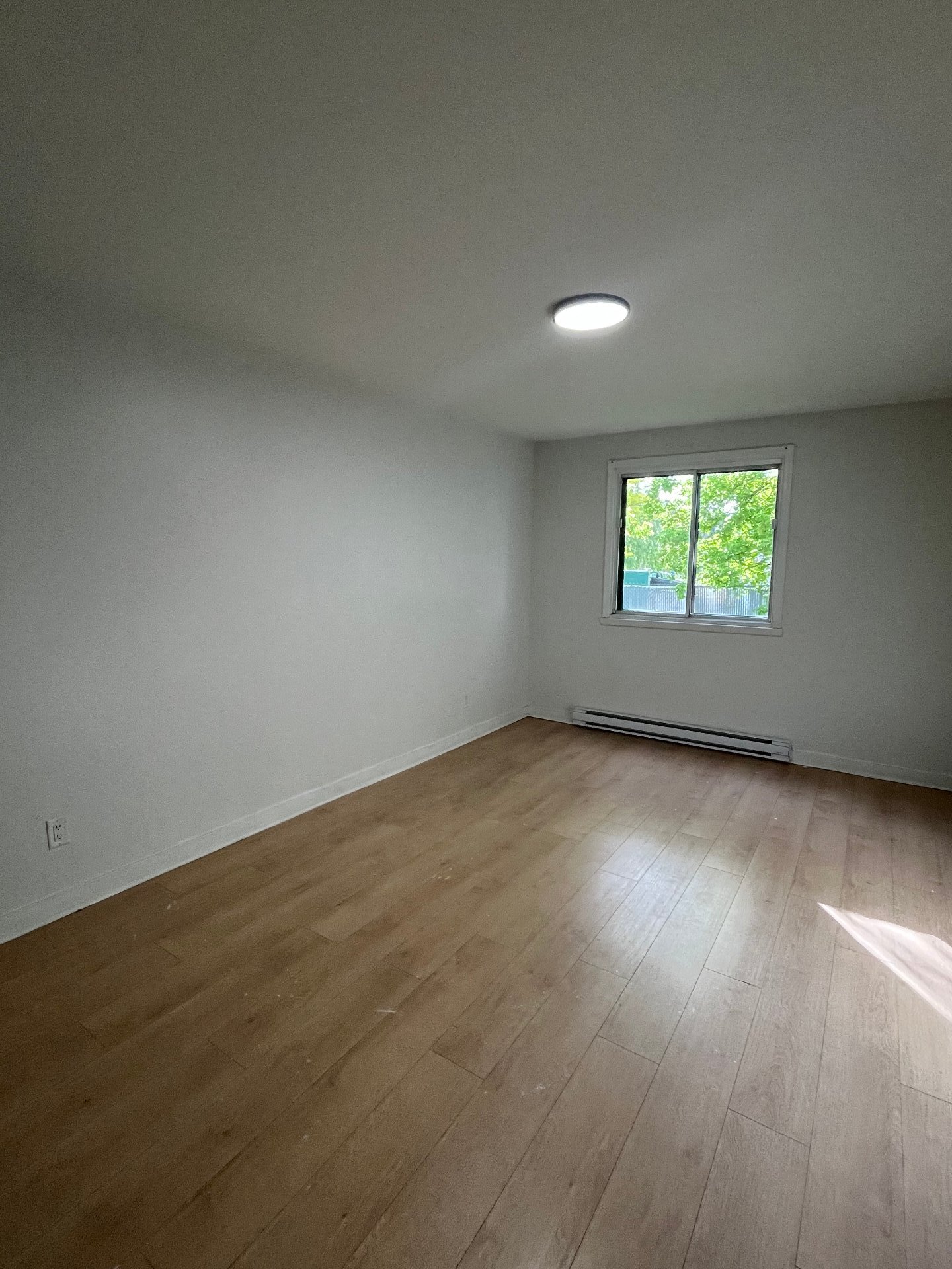 216 Rue Lawrence — photo 2