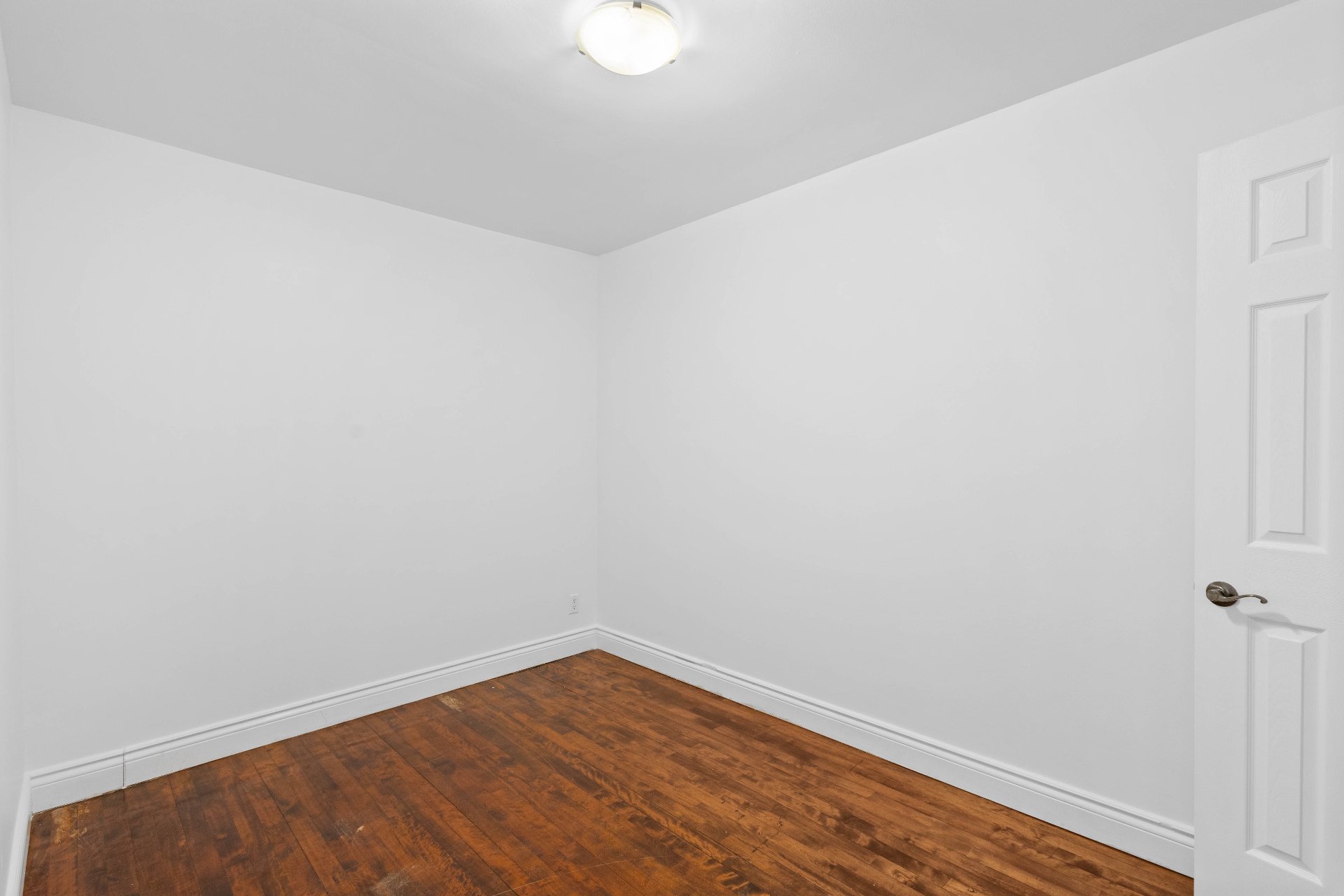 5999 Rue Boyer — photo 3