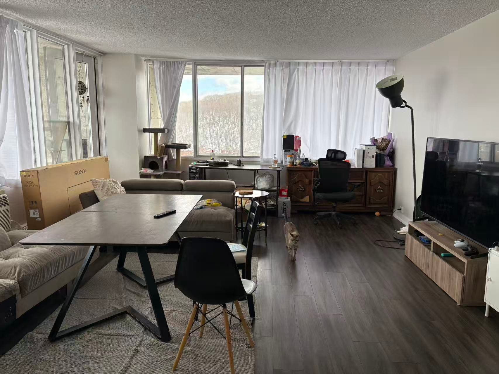 4850 Ch. de la Côte-des-Neiges — photo 3