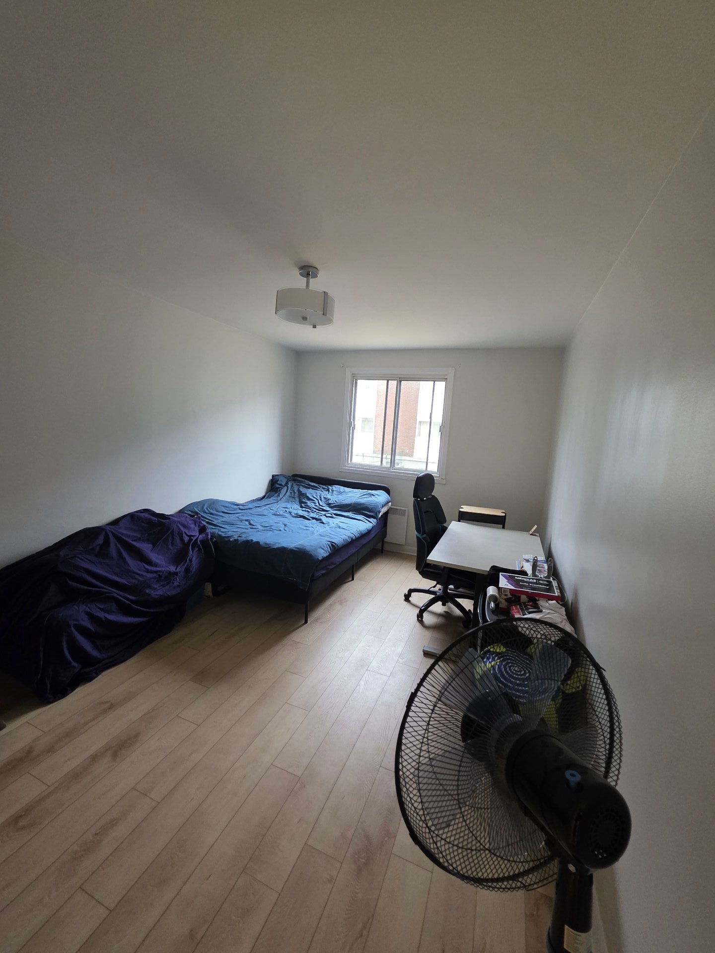 290 Rue Lawrence — photo 3