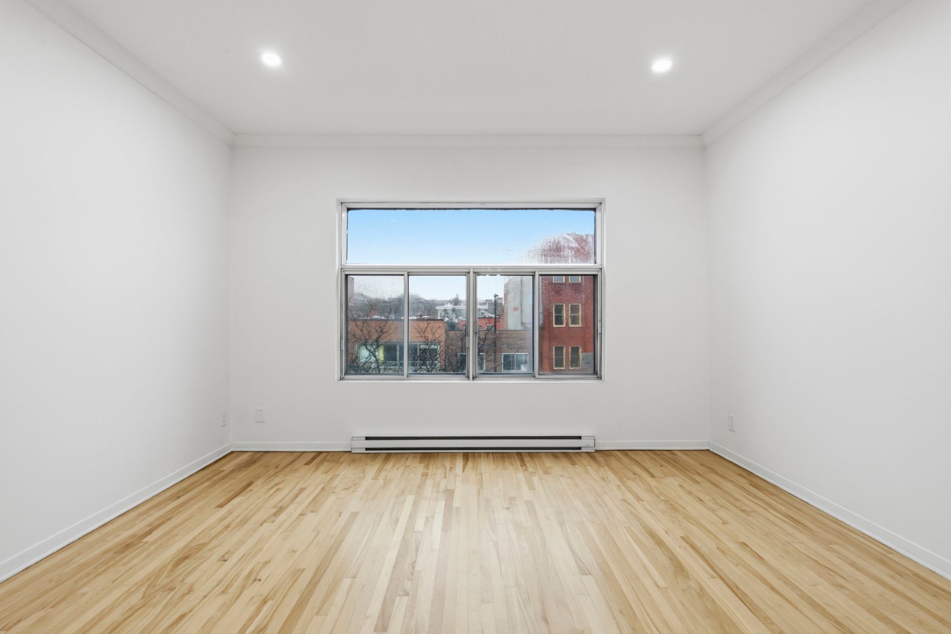 5625 Av. du Parc — photo 3