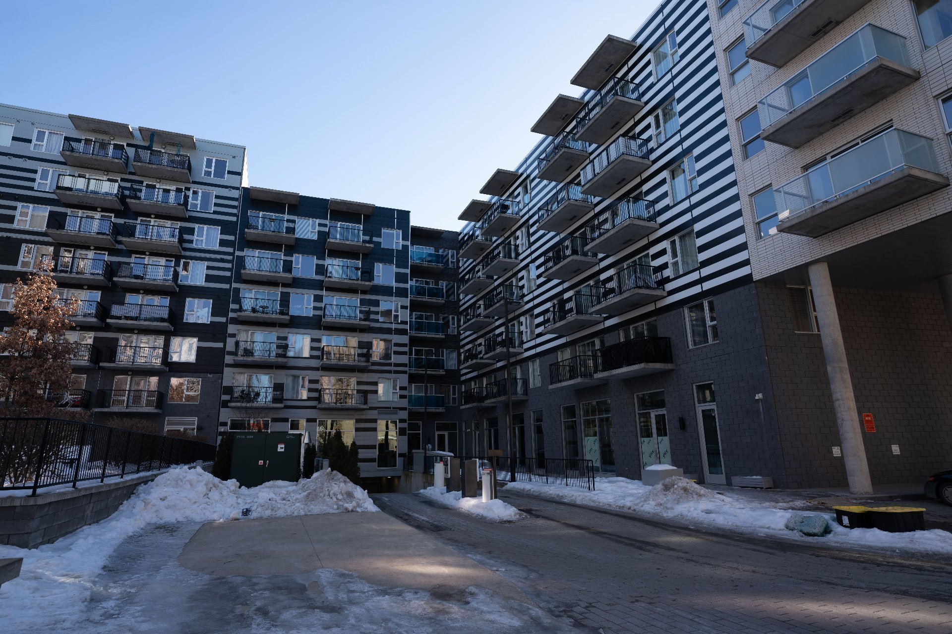 2542 Place Pierre-Falardeau — photo 2