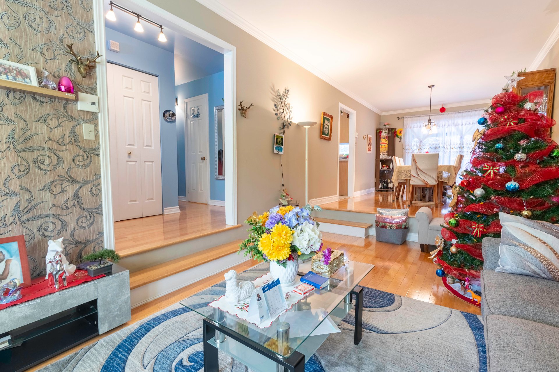 537 Rue Montpetit