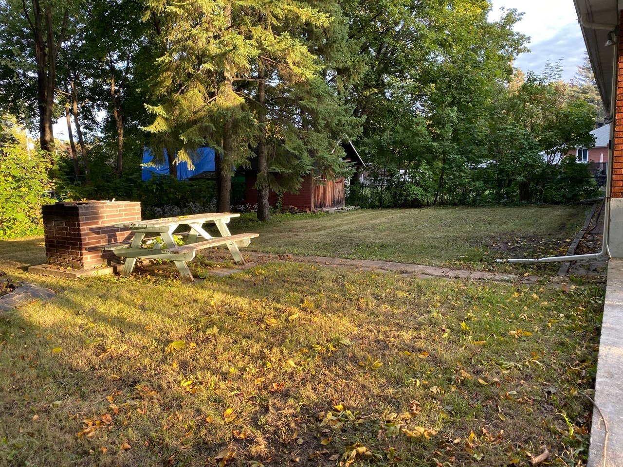 Backyard