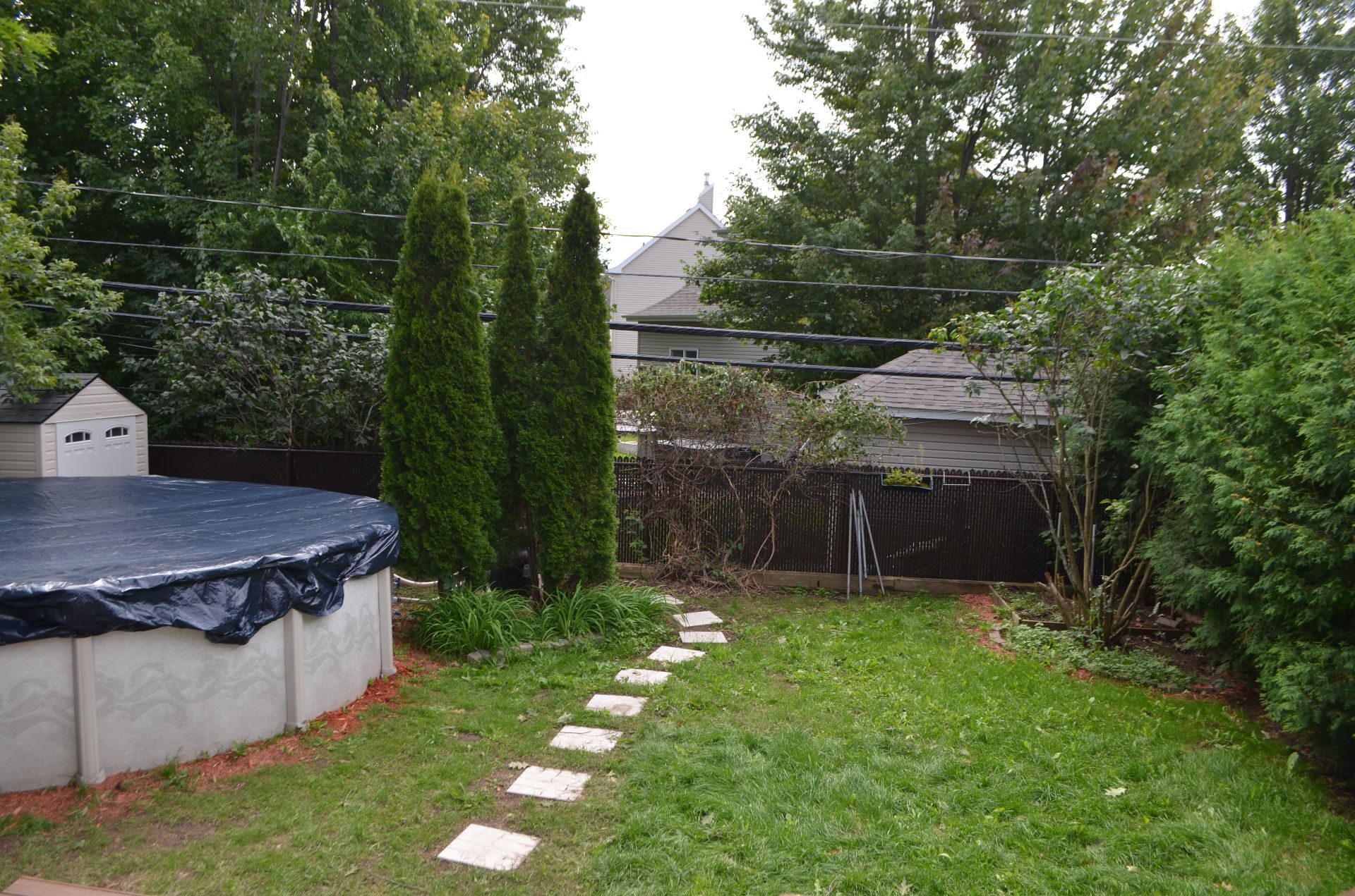 Backyard