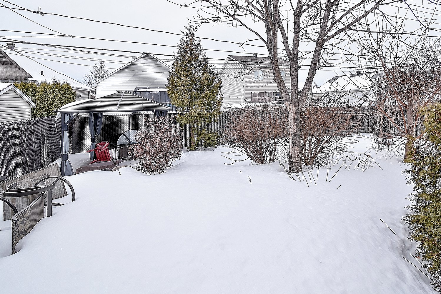 Backyard