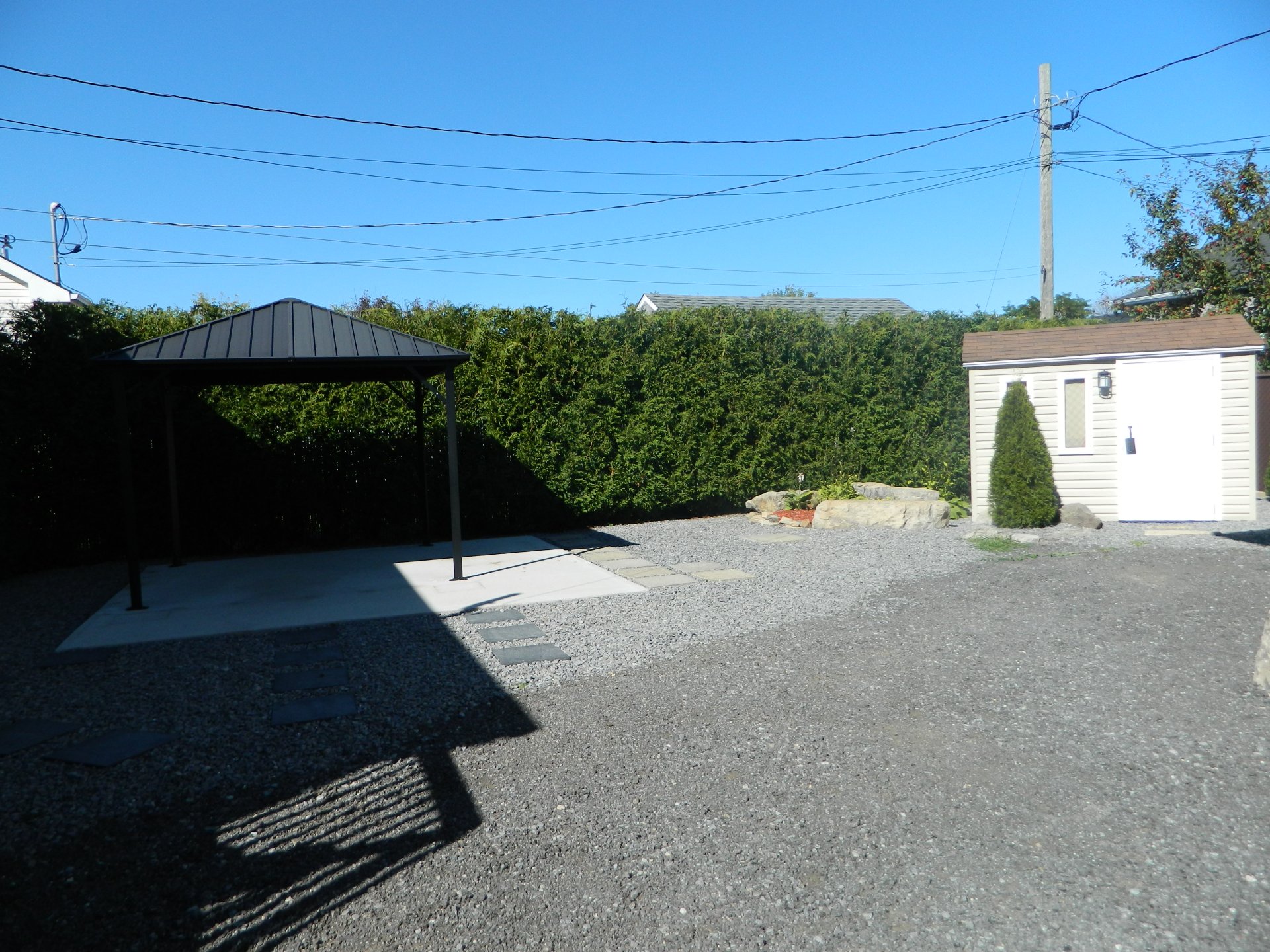 Backyard