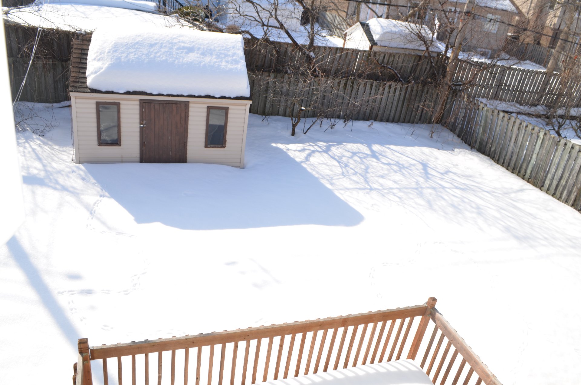 Backyard