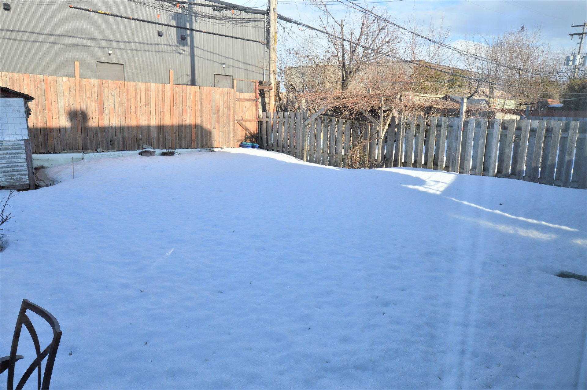 Backyard