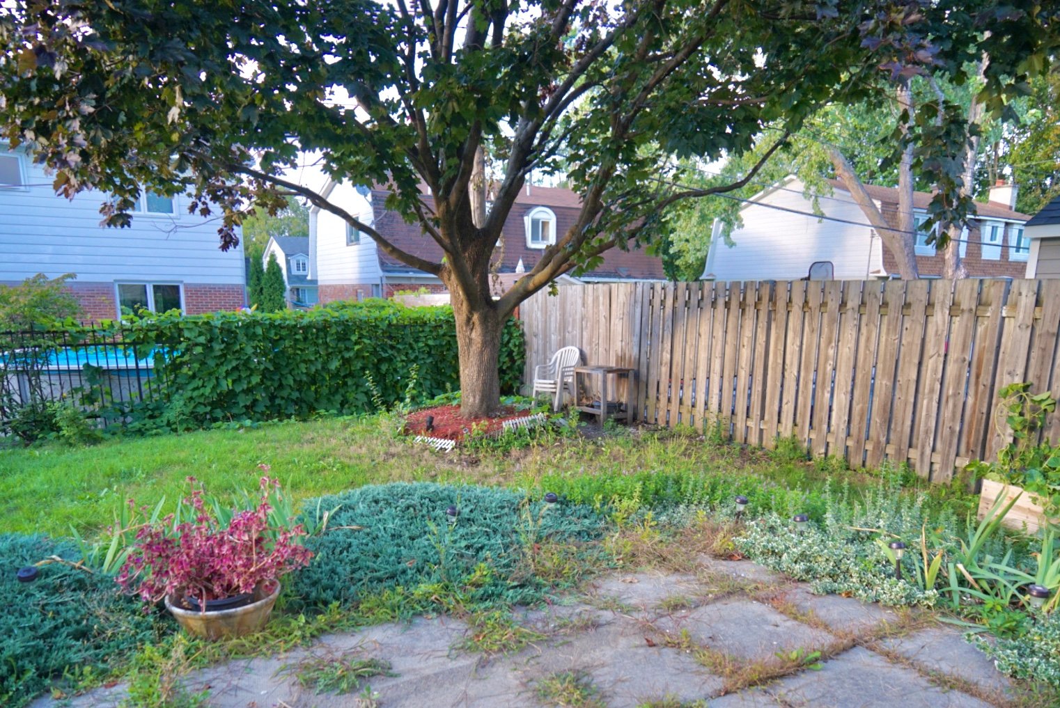 Backyard