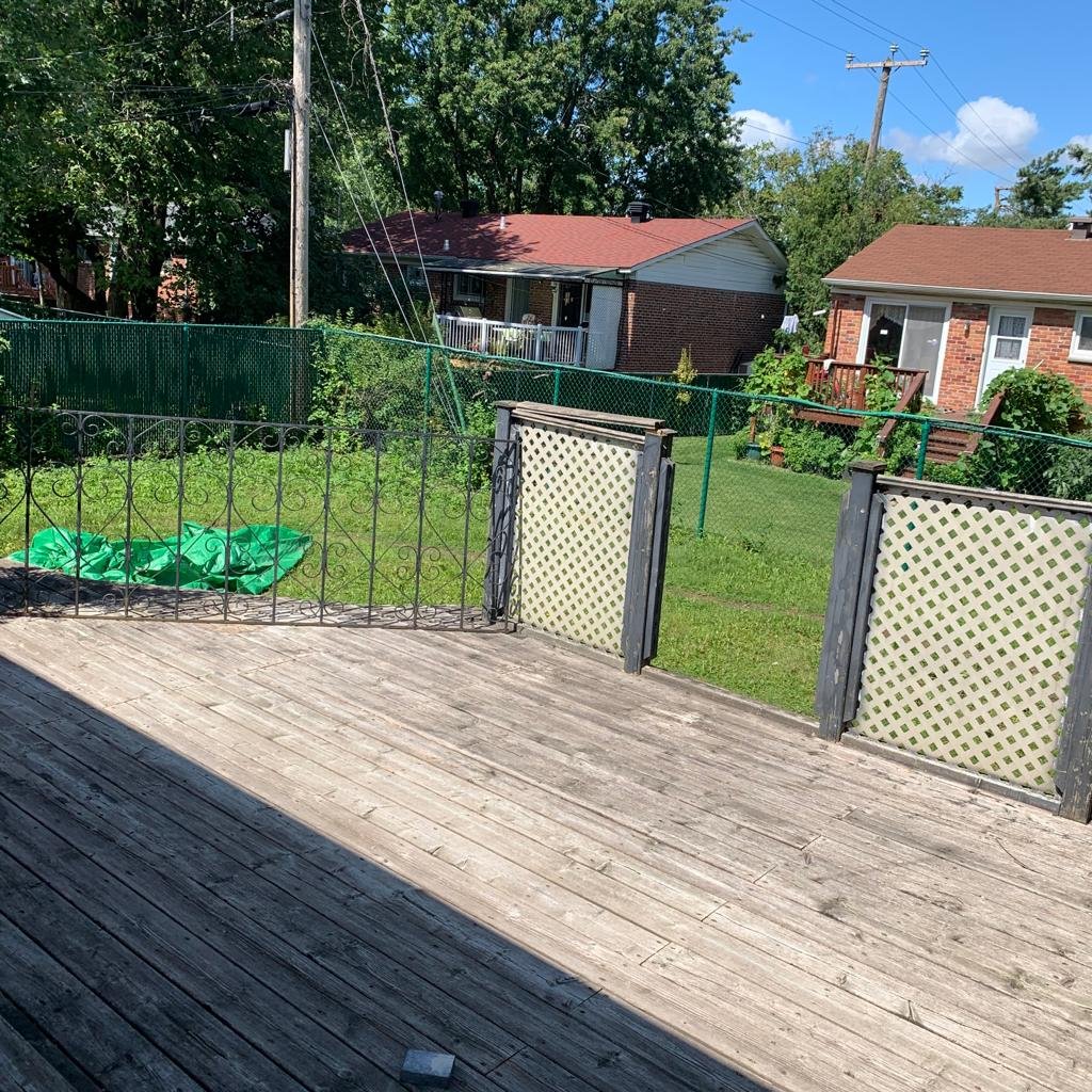 Backyard