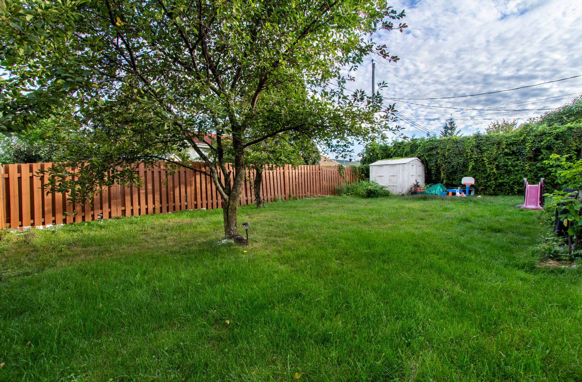 Backyard