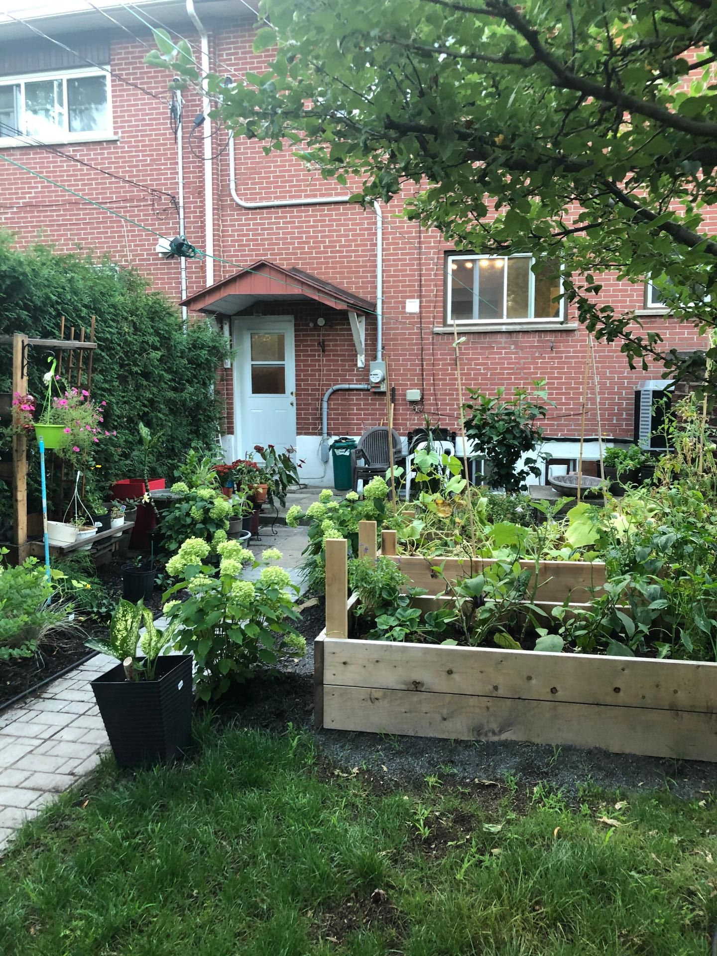 Garden