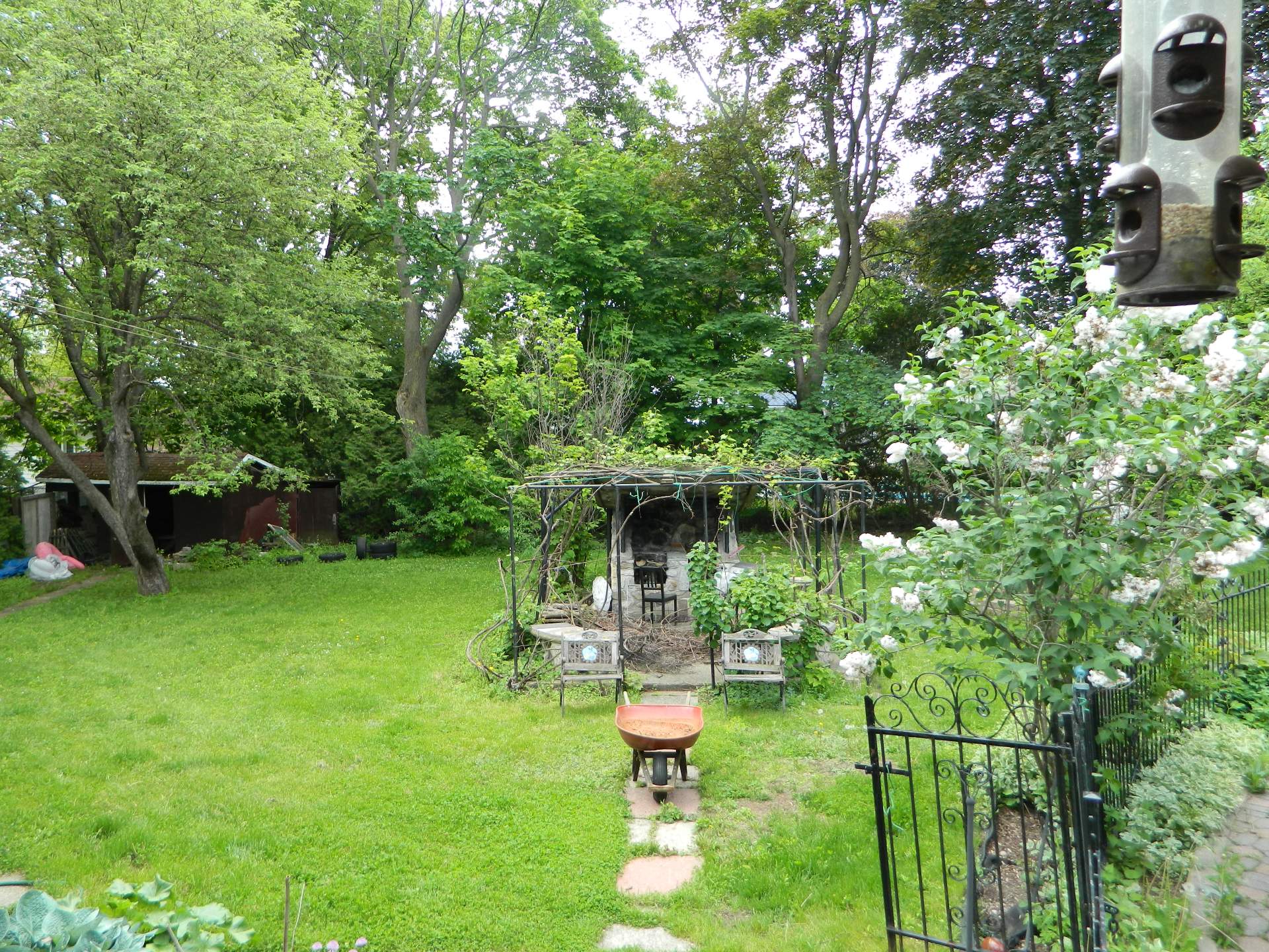 Backyard