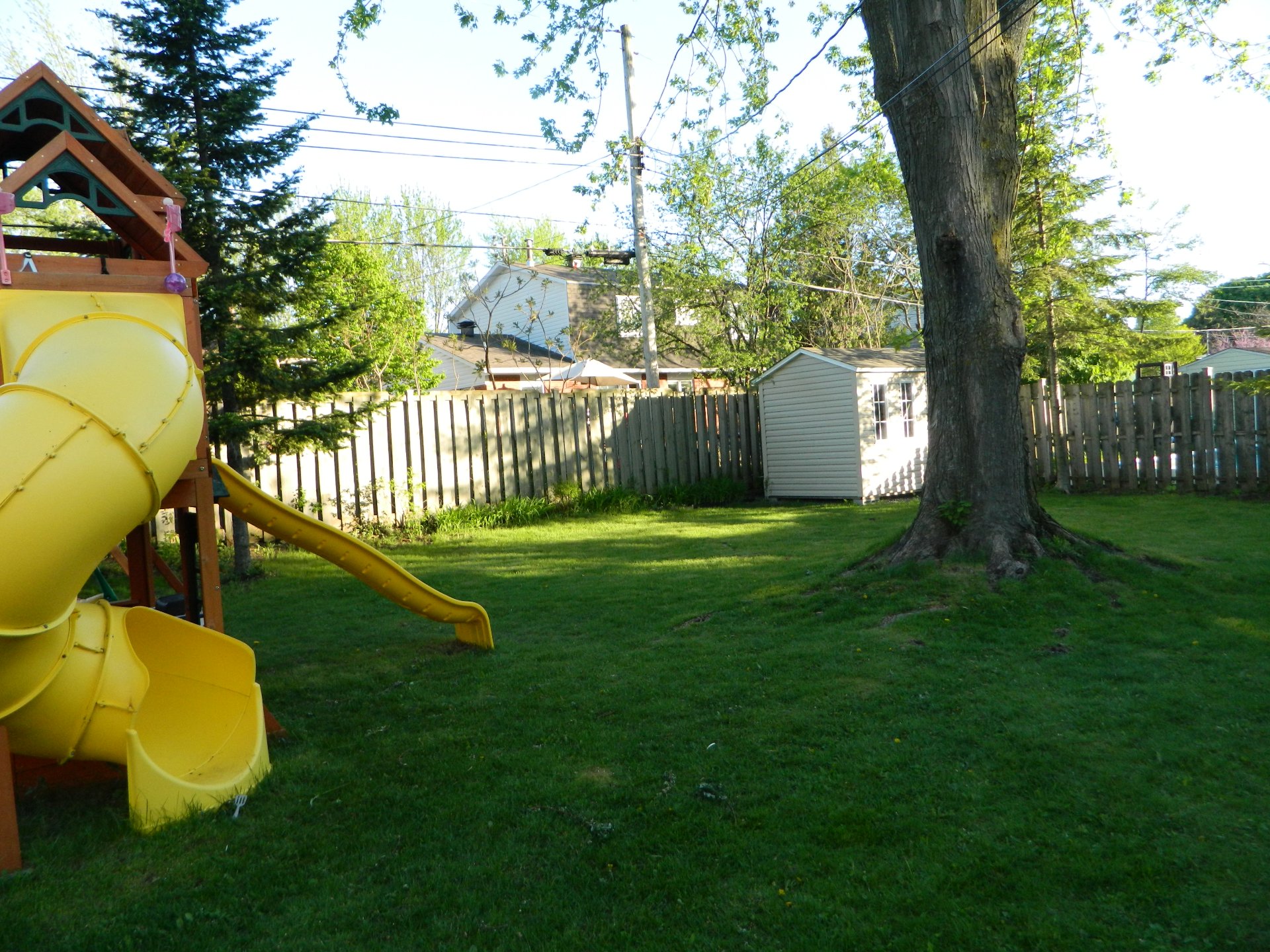 Backyard