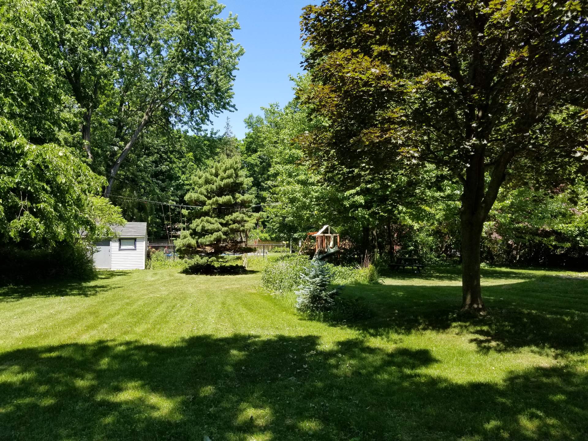 Backyard