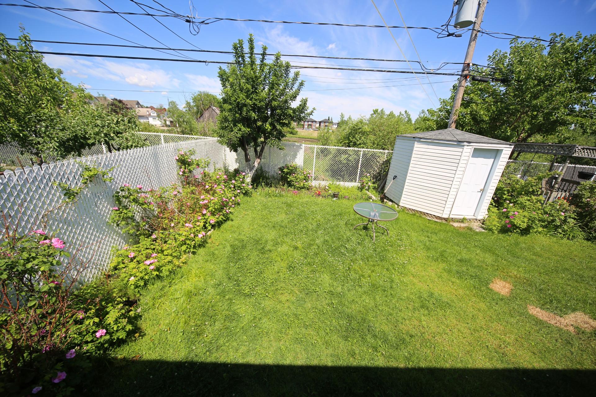 Backyard