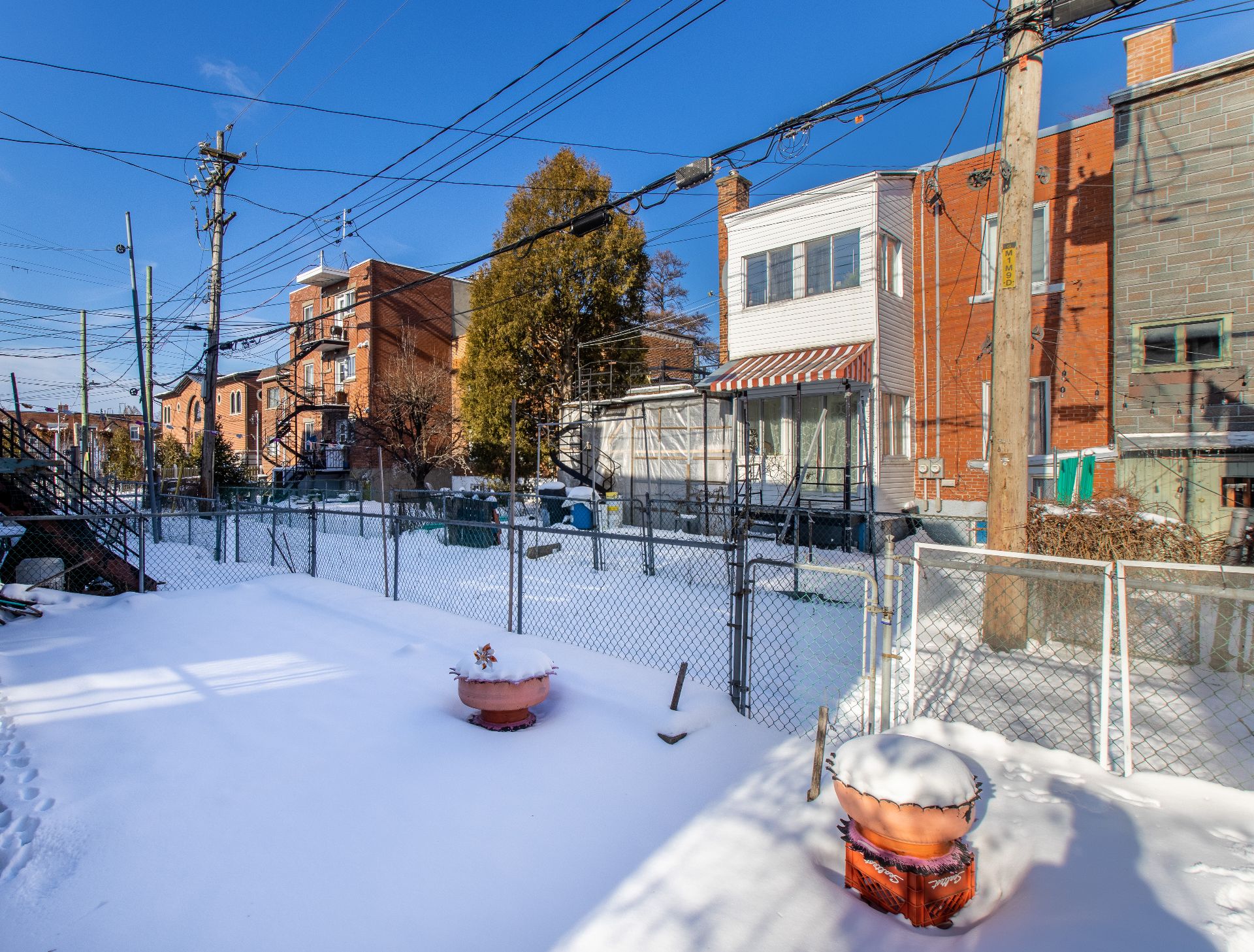 Backyard