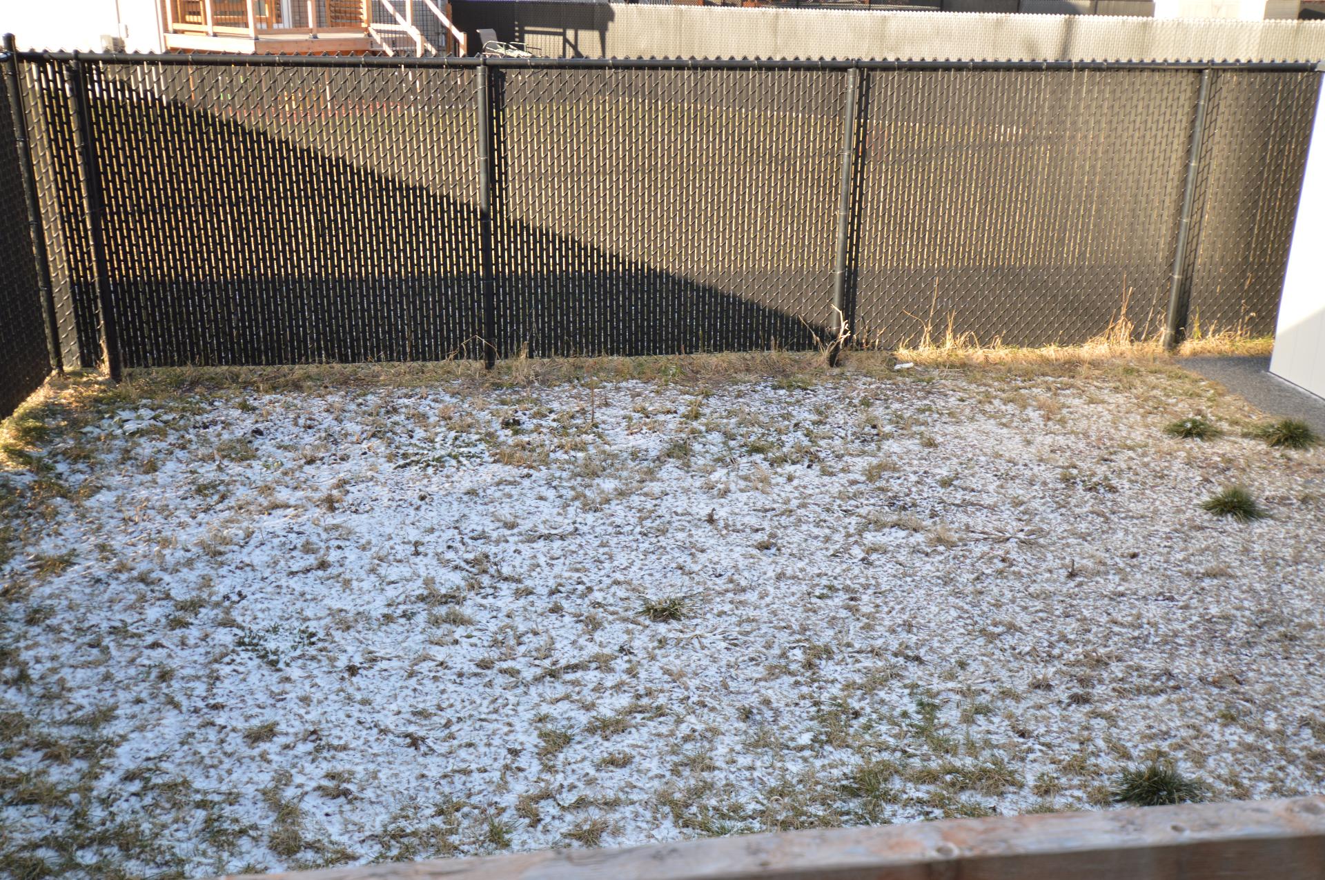 Backyard
