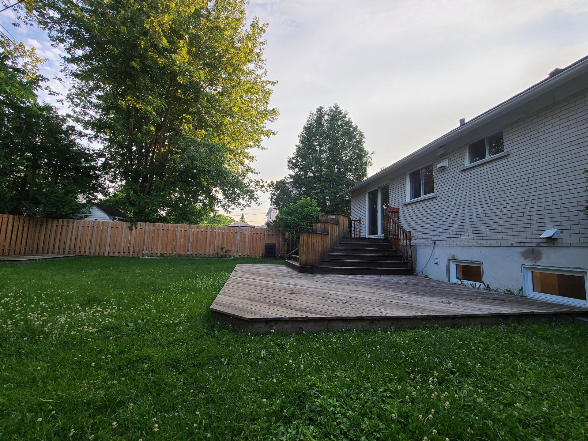 Backyard